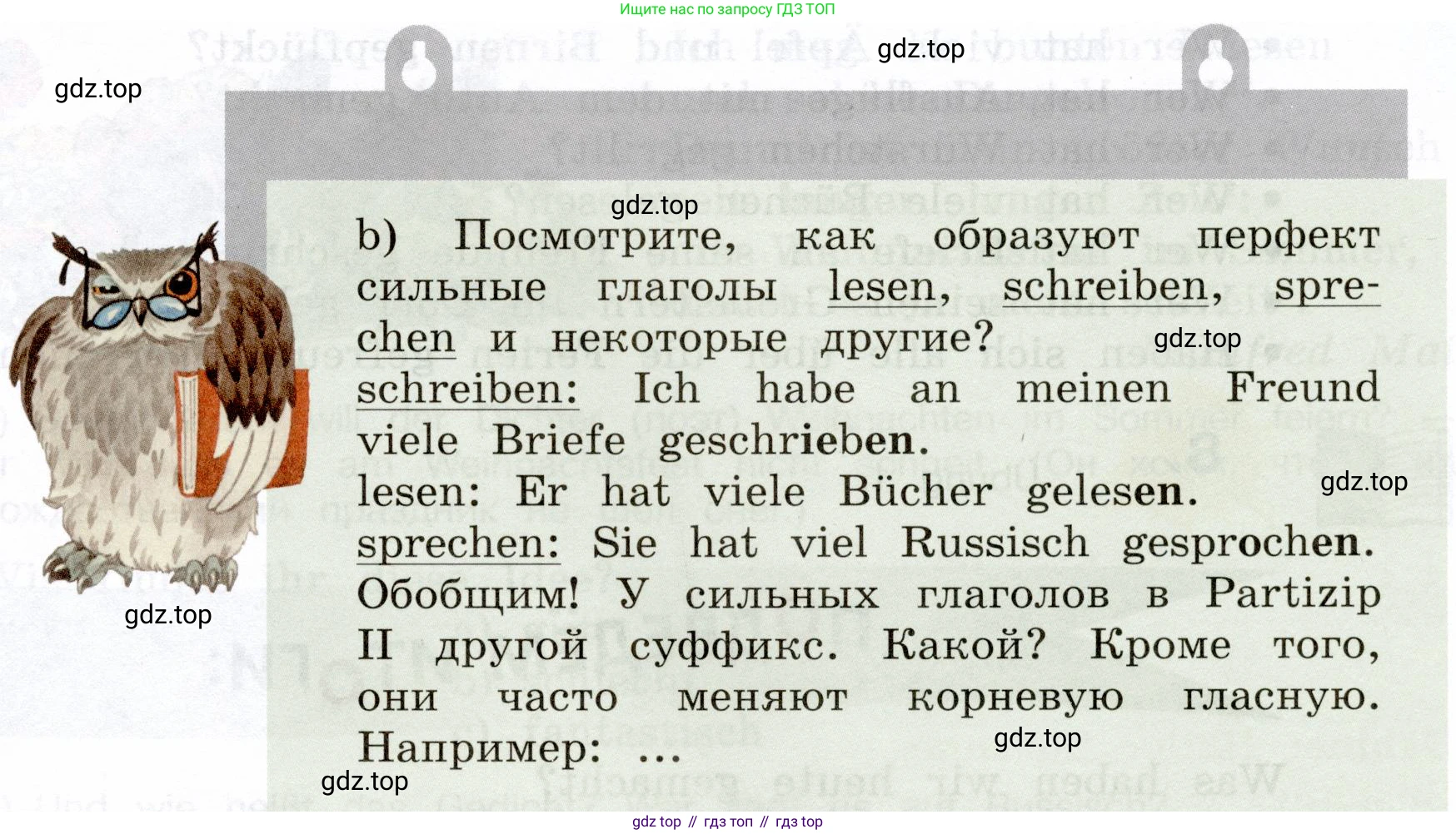 Немецкий язык (Deutsch), 5 класс учебник (lehrbuch), авторы: Бим Инесса Львовна (Bim I), Рыжова Лариса Ивановна (Ryschowa L), издательство Просвещение, Москва, 2023, голубого цвета, страница 24, номер 5, Условие (продолжение 2)