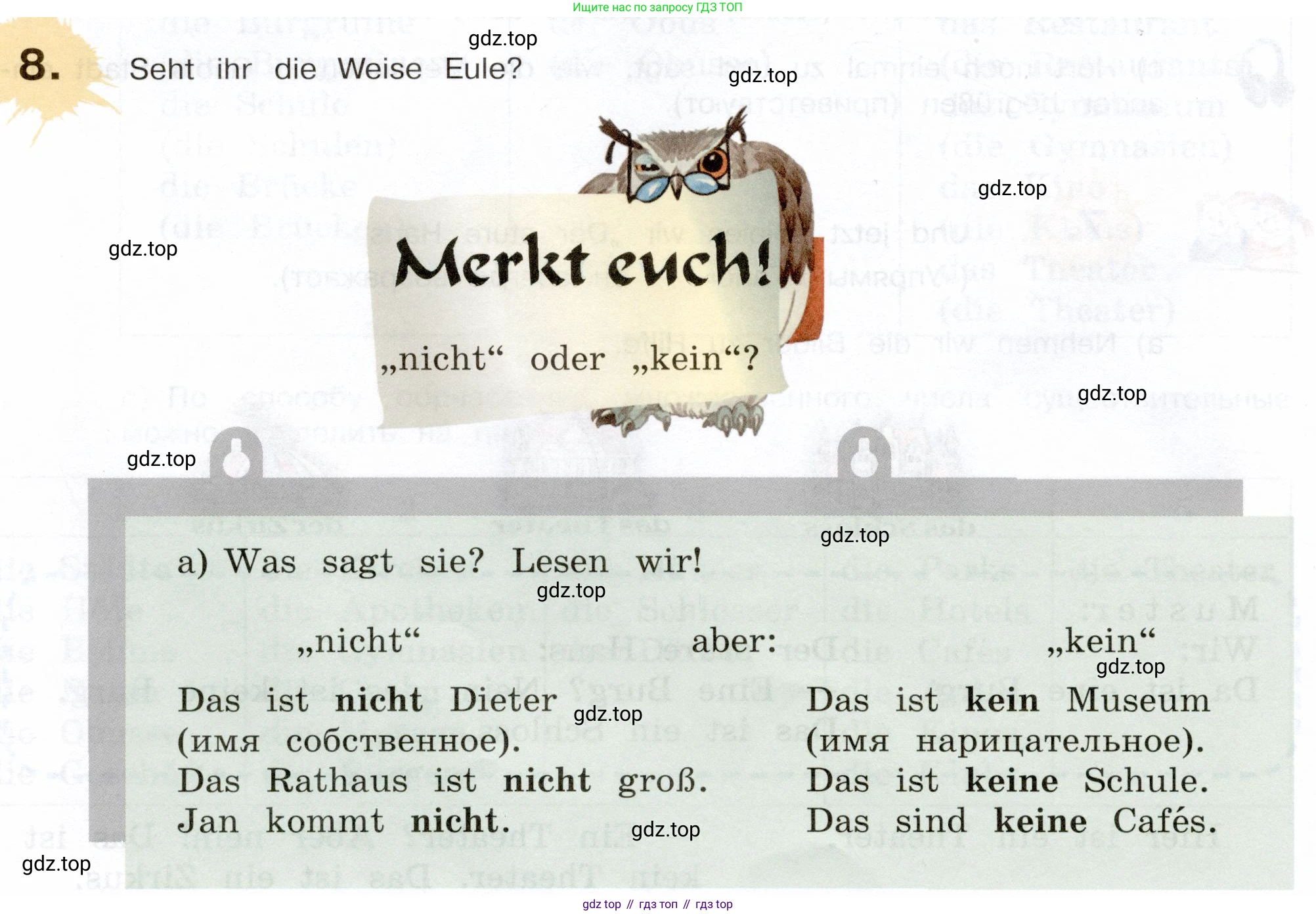Немецкий язык (Deutsch), 5 класс учебник (lehrbuch), авторы: Бим Инесса Львовна (Bim I), Рыжова Лариса Ивановна (Ryschowa L), издательство Просвещение, Москва, 2023, голубого цвета, страница 42, номер 8, Условие