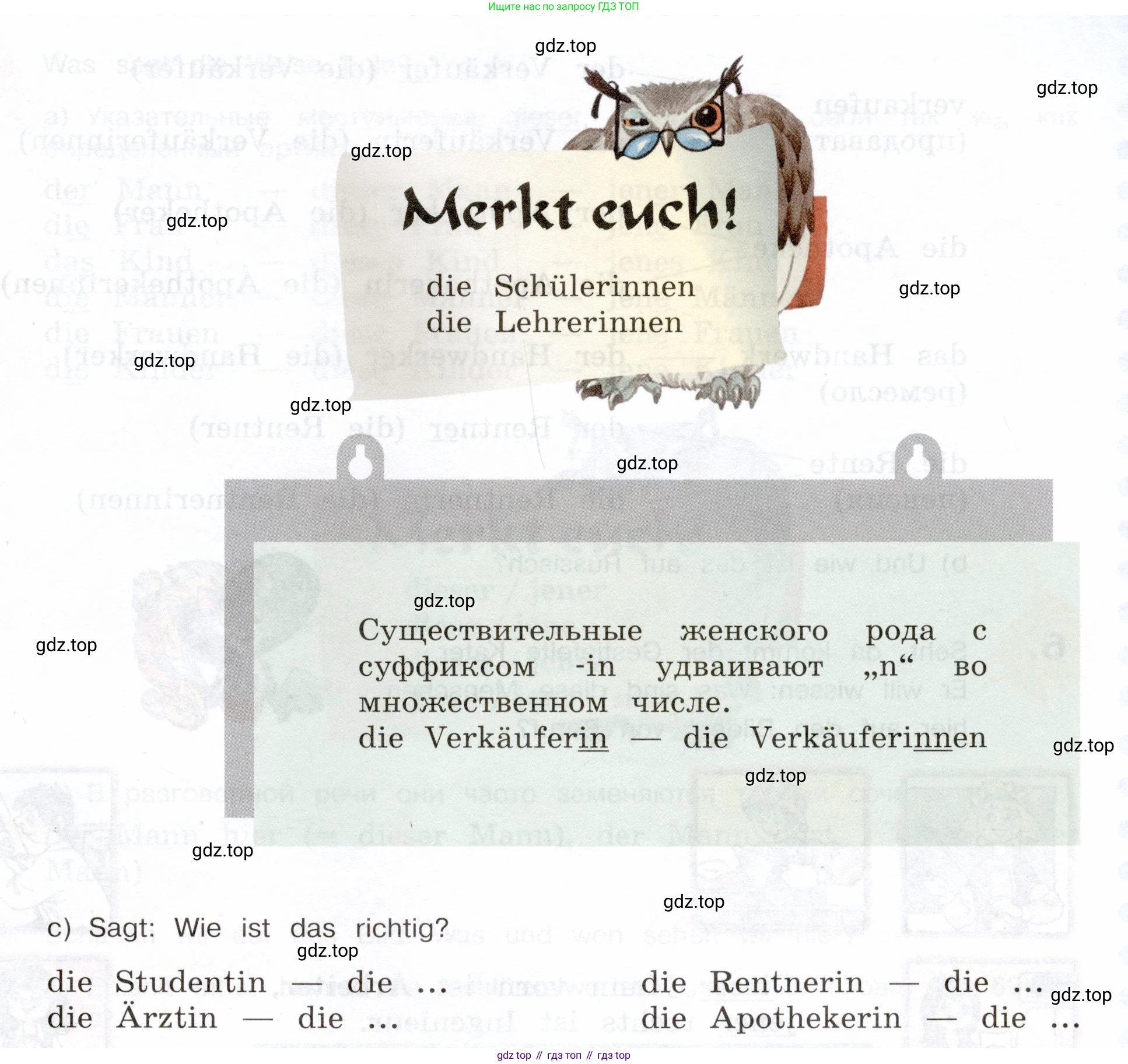 Немецкий язык (Deutsch), 5 класс учебник (lehrbuch), авторы: Бим Инесса Львовна (Bim I), Рыжова Лариса Ивановна (Ryschowa L), издательство Просвещение, Москва, 2023, голубого цвета, страница 58, номер 4, Условие (продолжение 2)