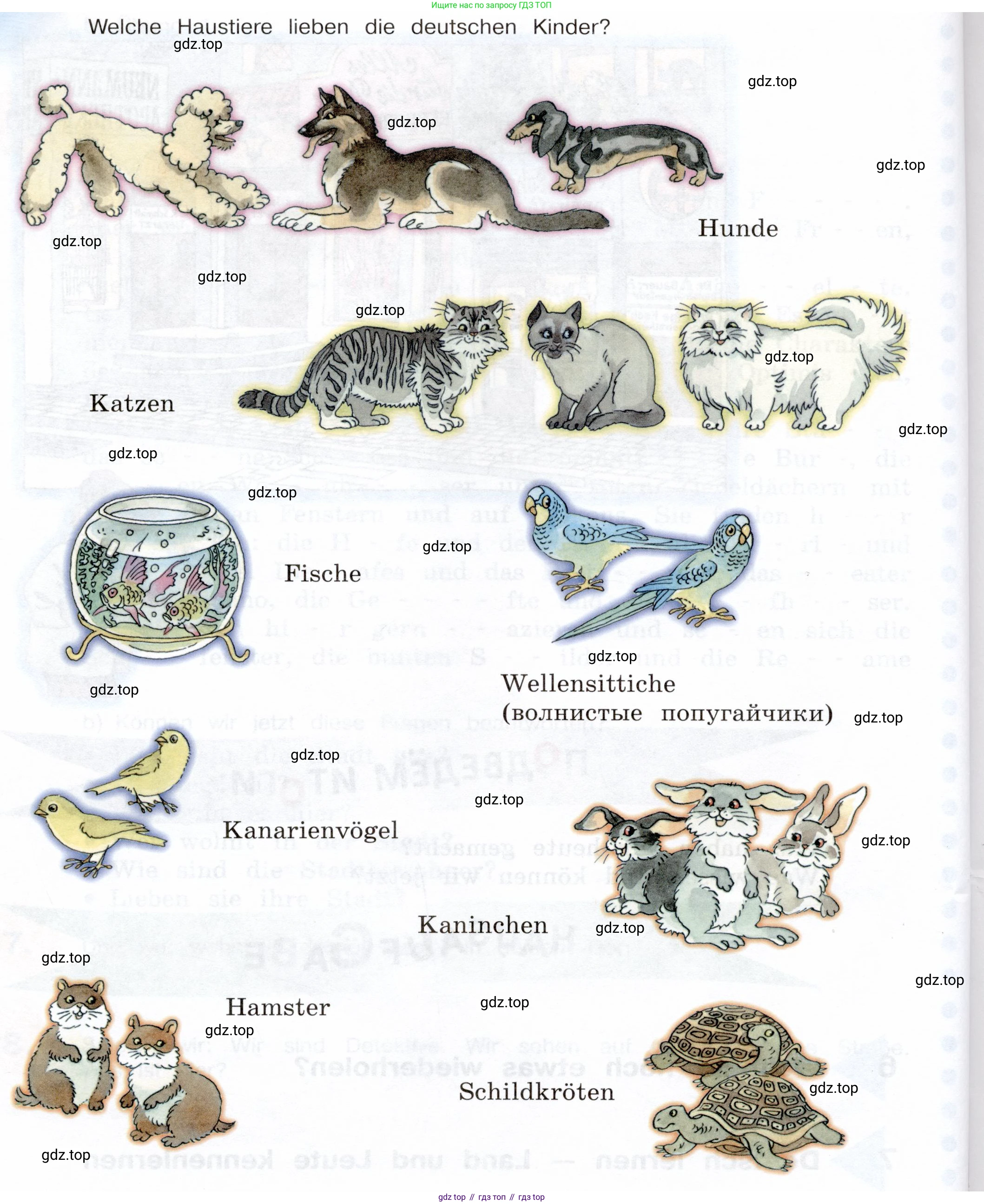 Немецкий язык (Deutsch), 5 класс учебник (lehrbuch), авторы: Бим Инесса Львовна (Bim I), Рыжова Лариса Ивановна (Ryschowa L), издательство Просвещение, Москва, 2023, голубого цвета, страница 75, Условие (продолжение 2)