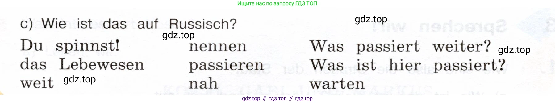 Немецкий язык (Deutsch), 5 класс учебник (lehrbuch), авторы: Бим Инесса Львовна (Bim I), Рыжова Лариса Ивановна (Ryschowa L), издательство Просвещение, Москва, 2023, голубого цвета, страница 86, номер 6, Условие (продолжение 2)