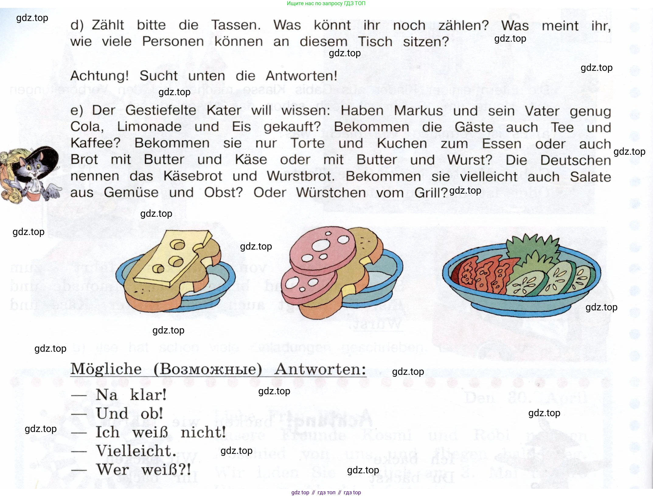 Немецкий язык (Deutsch), 5 класс учебник (lehrbuch), авторы: Бим Инесса Львовна (Bim I), Рыжова Лариса Ивановна (Ryschowa L), издательство Просвещение, Москва, 2023, голубого цвета, страница 207, номер 3, Условие (продолжение 2)