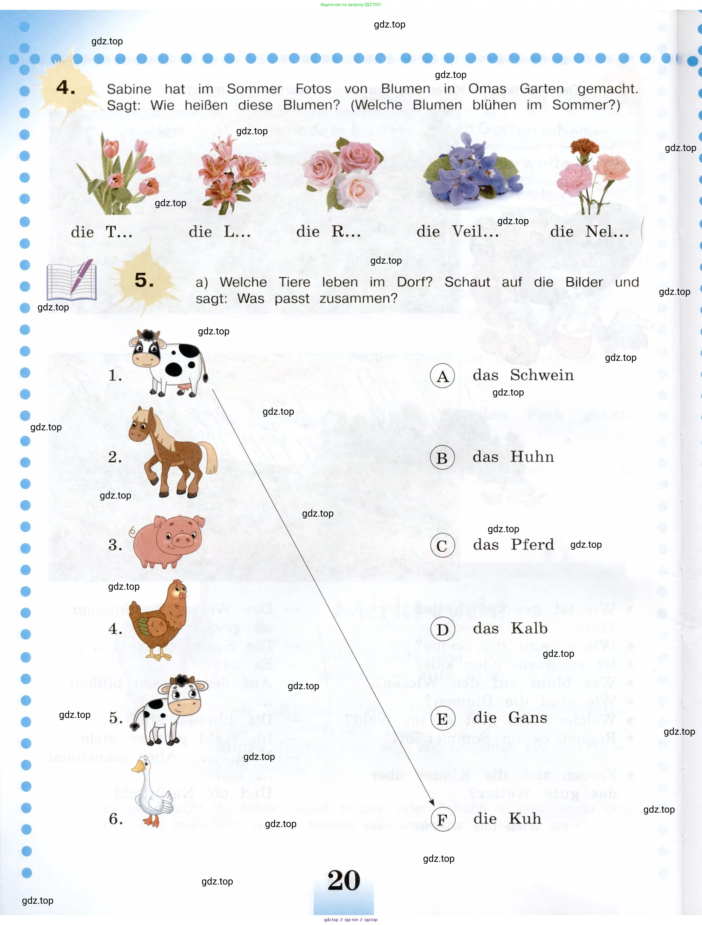 Немецкий язык (Deutsch), 5 класс учебник (lehrbuch), авторы: Бим Инесса Львовна (Bim I), Рыжова Лариса Ивановна (Ryschowa L), издательство Просвещение, Москва, 2023, голубого цвета, страница 20