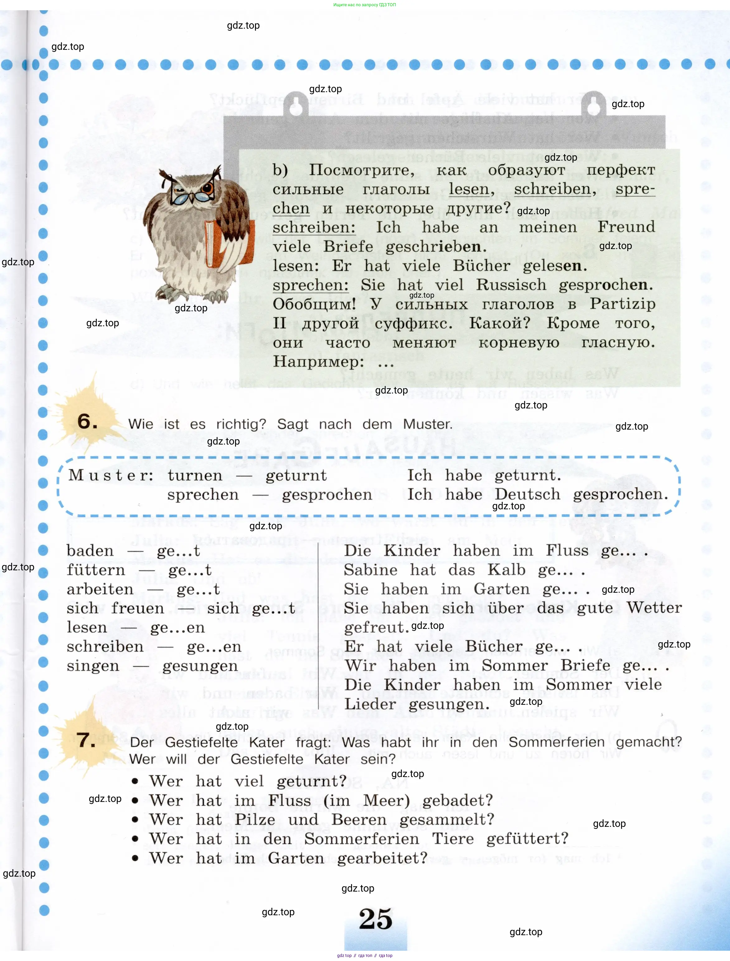 Немецкий язык (Deutsch), 5 класс учебник (lehrbuch), авторы: Бим Инесса Львовна (Bim I), Рыжова Лариса Ивановна (Ryschowa L), издательство Просвещение, Москва, 2023, голубого цвета, страница 25