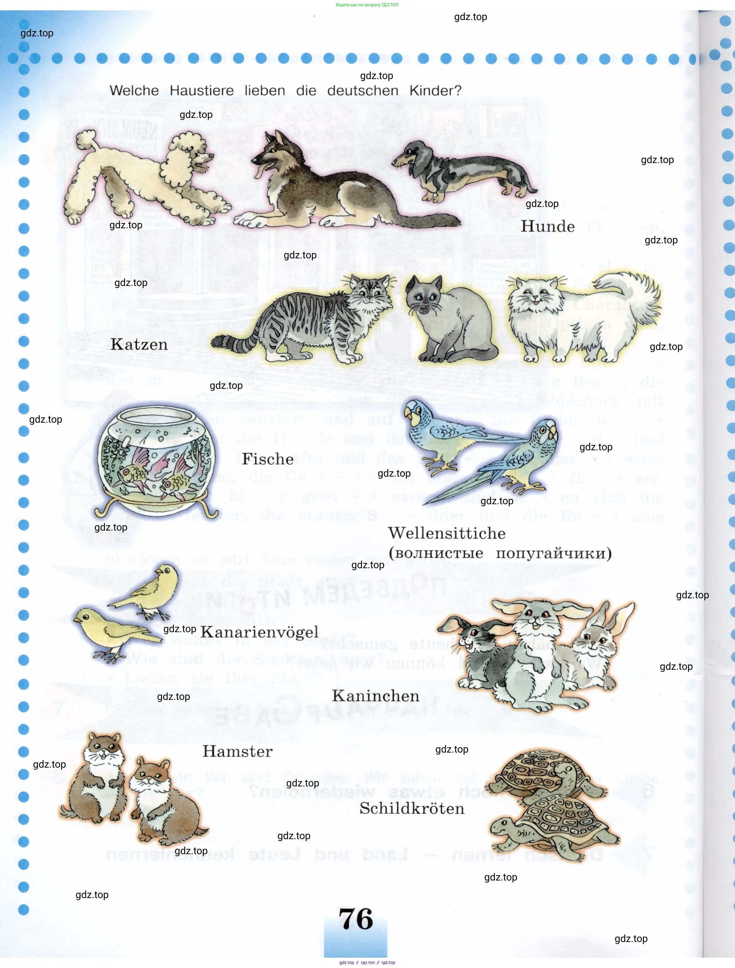 Немецкий язык (Deutsch), 5 класс учебник (lehrbuch), авторы: Бим Инесса Львовна (Bim I), Рыжова Лариса Ивановна (Ryschowa L), издательство Просвещение, Москва, 2023, голубого цвета, страница 76