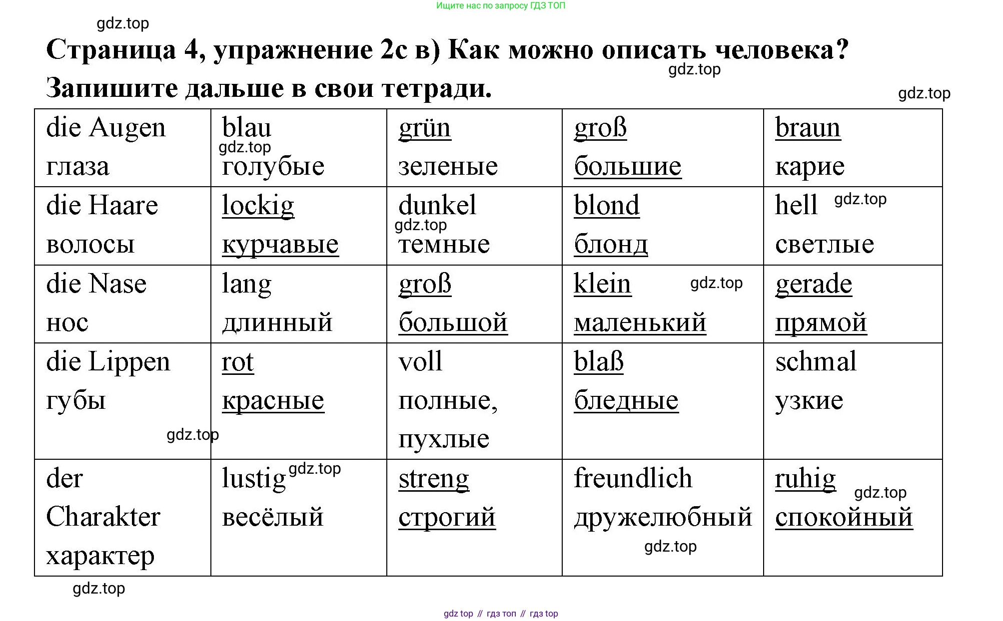 Немецкий язык (Deutsch), 5 класс учебник (lehrbuch), авторы: Бим Инесса Львовна (Bim I), Рыжова Лариса Ивановна (Ryschowa L), издательство Просвещение, Москва, 2023, голубого цвета, страница 4, номер 2, Решение (продолжение 2)
