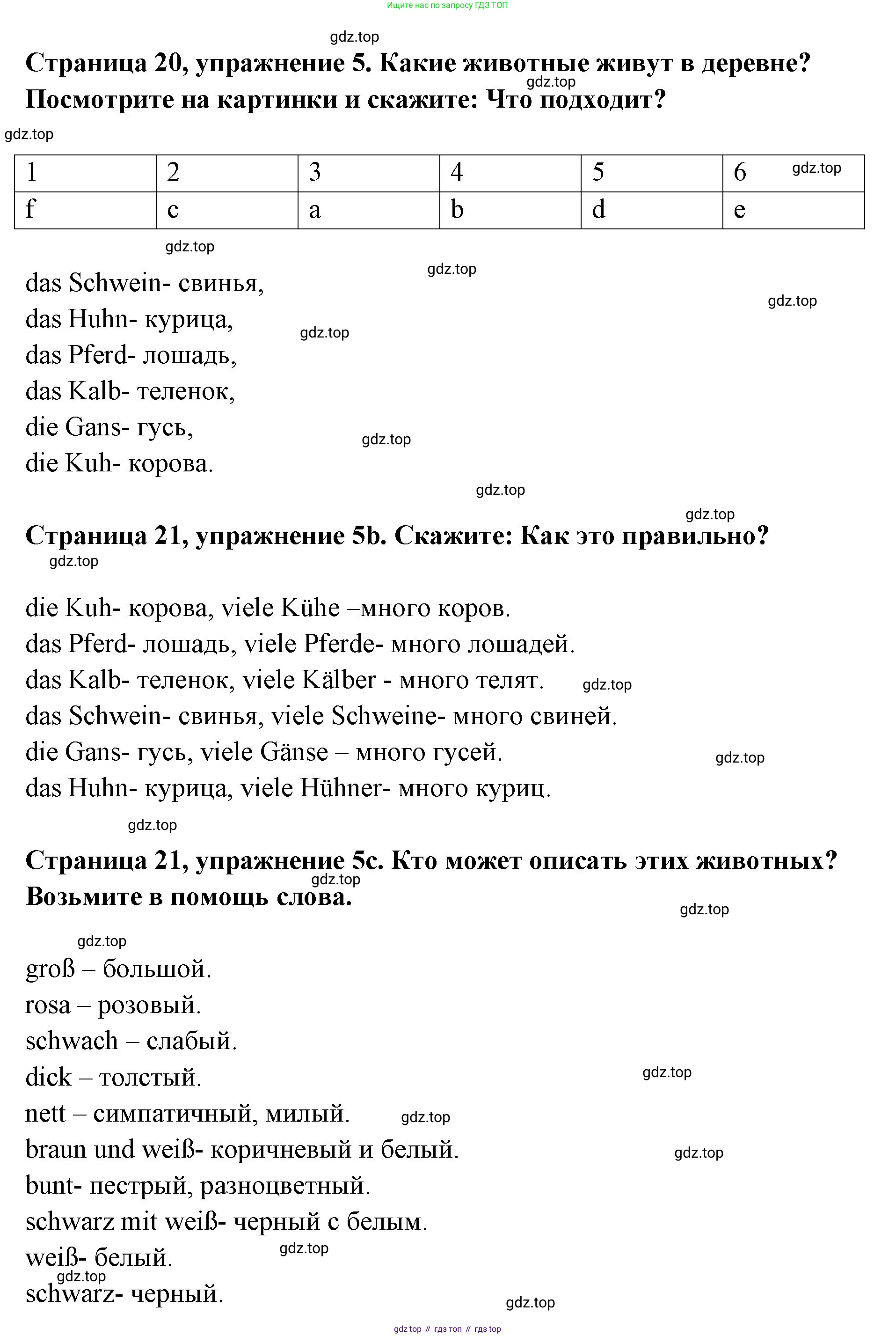 Немецкий язык (Deutsch), 5 класс учебник (lehrbuch), авторы: Бим Инесса Львовна (Bim I), Рыжова Лариса Ивановна (Ryschowa L), издательство Просвещение, Москва, 2023, голубого цвета, страница 20, номер 5, Решение
