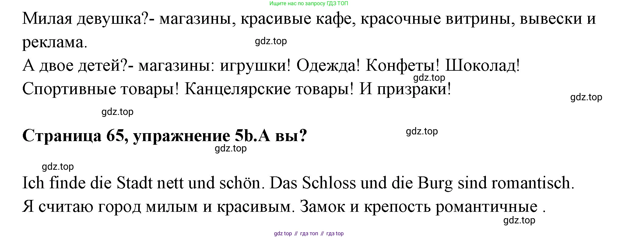 Немецкий язык (Deutsch), 5 класс учебник (lehrbuch), авторы: Бим Инесса Львовна (Bim I), Рыжова Лариса Ивановна (Ryschowa L), издательство Просвещение, Москва, 2023, голубого цвета, страница 65, номер 5, Решение (продолжение 2)