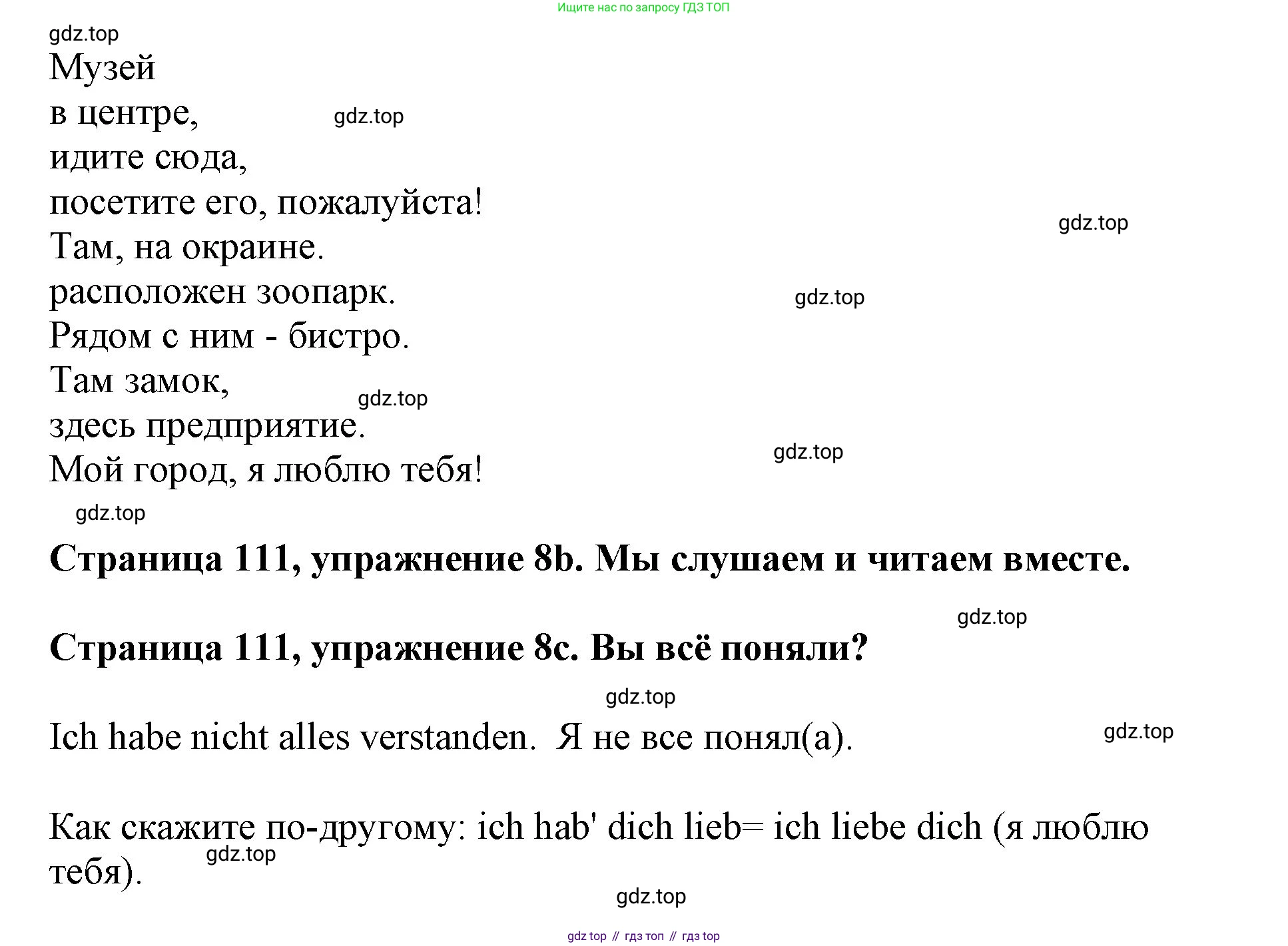Немецкий язык (Deutsch), 5 класс учебник (lehrbuch), авторы: Бим Инесса Львовна (Bim I), Рыжова Лариса Ивановна (Ryschowa L), издательство Просвещение, Москва, 2023, голубого цвета, страница 111, номер 8, Решение (продолжение 2)