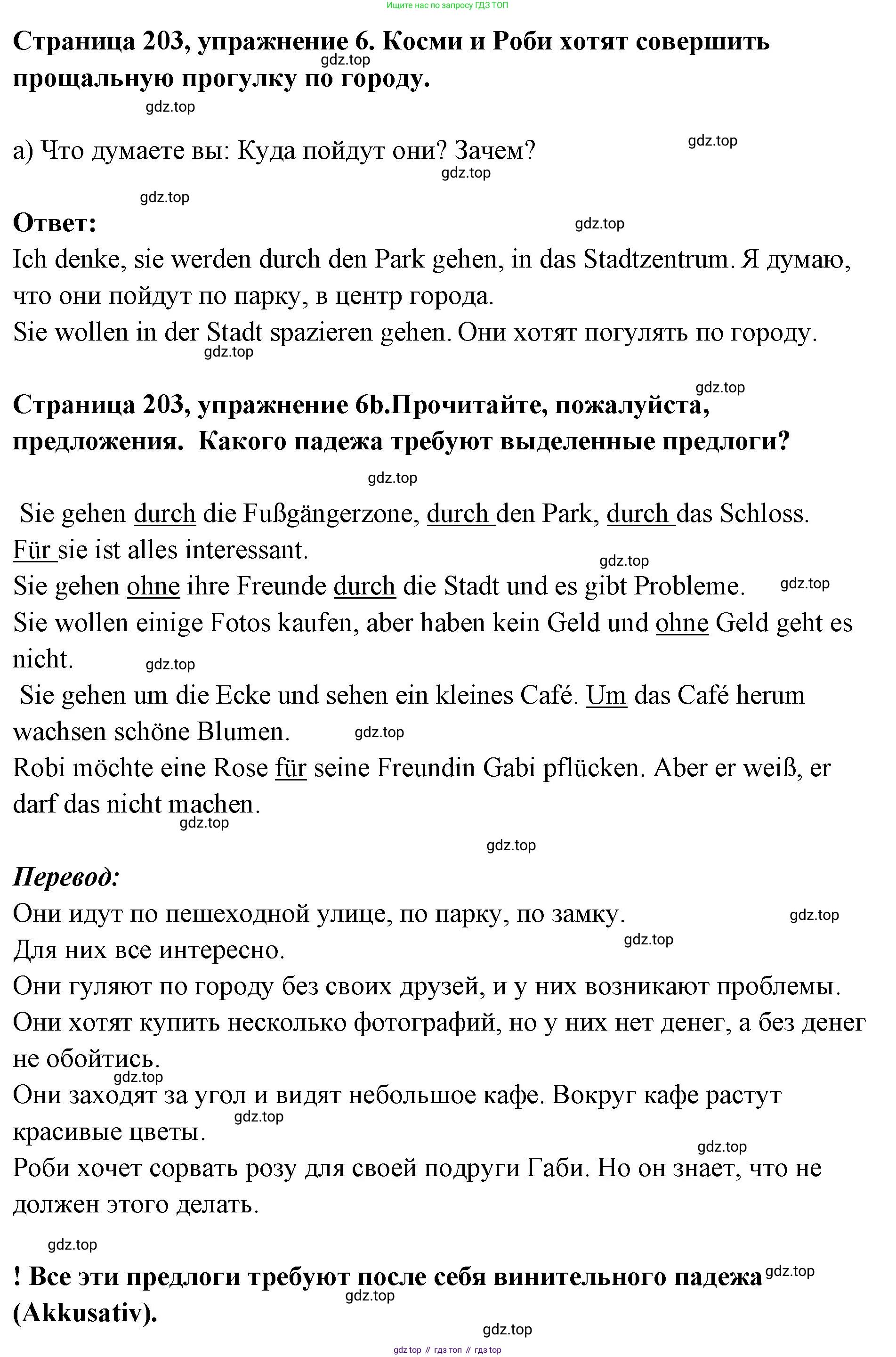 Немецкий язык (Deutsch), 5 класс учебник (lehrbuch), авторы: Бим Инесса Львовна (Bim I), Рыжова Лариса Ивановна (Ryschowa L), издательство Просвещение, Москва, 2023, голубого цвета, страница 203, номер 6, Решение