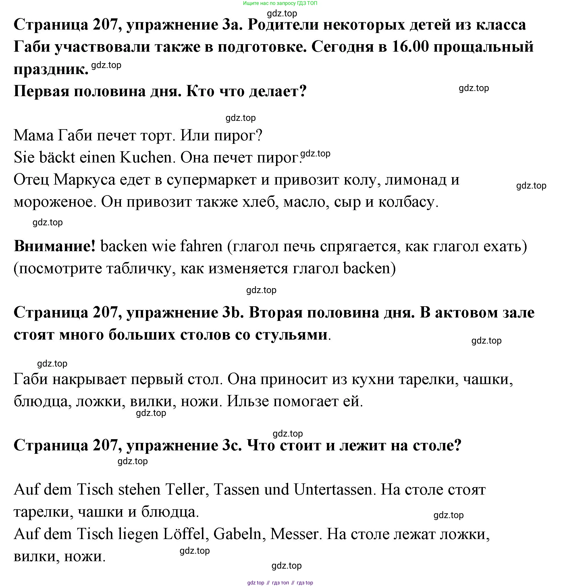 Немецкий язык (Deutsch), 5 класс учебник (lehrbuch), авторы: Бим Инесса Львовна (Bim I), Рыжова Лариса Ивановна (Ryschowa L), издательство Просвещение, Москва, 2023, голубого цвета, страница 207, номер 3, Решение