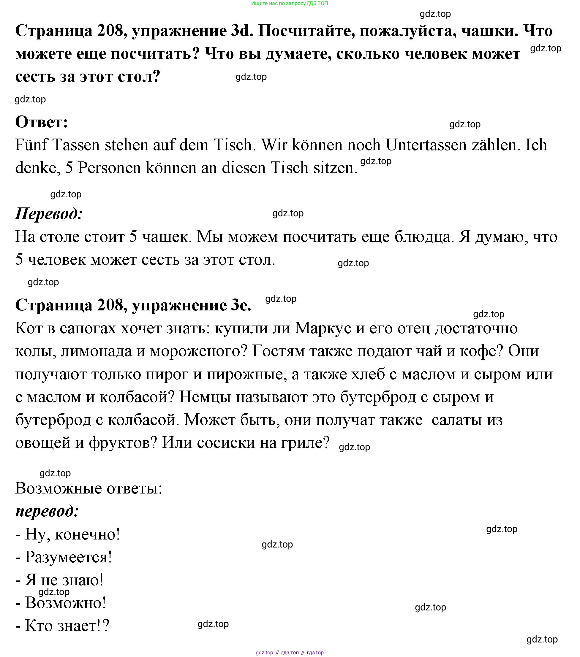 Немецкий язык (Deutsch), 5 класс учебник (lehrbuch), авторы: Бим Инесса Львовна (Bim I), Рыжова Лариса Ивановна (Ryschowa L), издательство Просвещение, Москва, 2023, голубого цвета, страница 207, номер 3, Решение (продолжение 2)