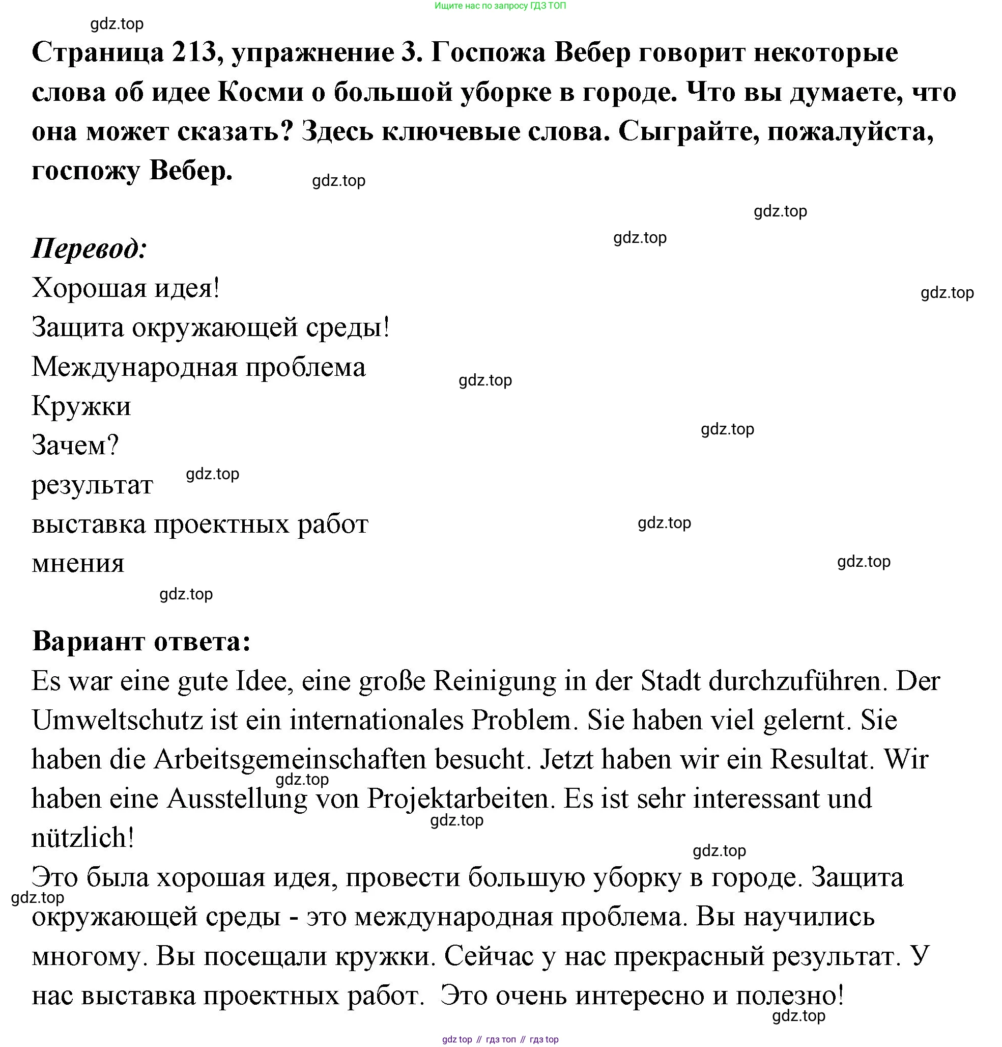 Немецкий язык (Deutsch), 5 класс учебник (lehrbuch), авторы: Бим Инесса Львовна (Bim I), Рыжова Лариса Ивановна (Ryschowa L), издательство Просвещение, Москва, 2023, голубого цвета, страница 213, номер 3, Решение
