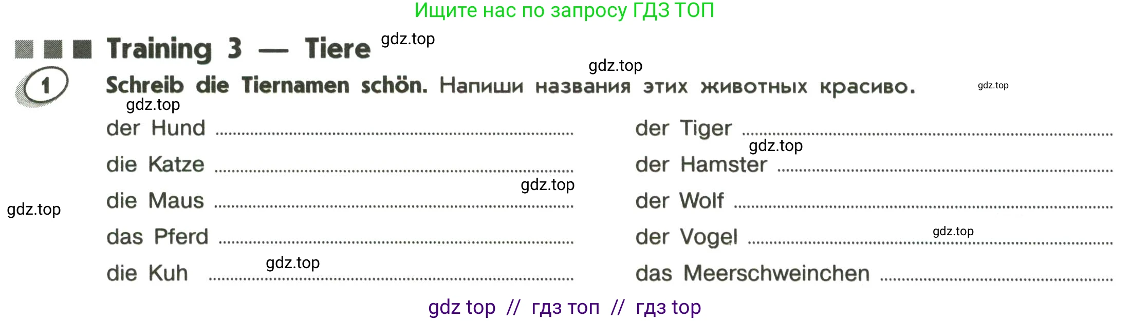 Немецкий язык (Deutsch), 5 класс Лексика и грамматика. Сборник упражнений (Wortschatz und Grammatik trainieren), авторы: Лытаева Мария Александровна (Lytajewa M), Ионова Анна Михайловна (Ionowa A), издательство Просвещение, Москва, 2019, белого цвета, страница 20, номер 1, Условие