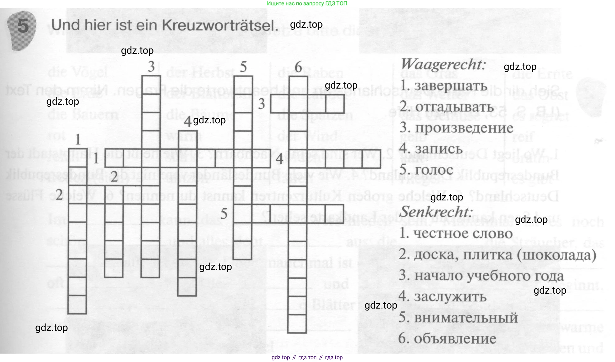 ГДЗ Немецкий язык (Deutsch), 6 класс рабочая тетрадь (arbeitsbuch), авторы: Бим Инесса Львовна (Bim I), Фомичева Людмила Михайловна (Fomitschjowa L), издательство Просвещение, Москва, 2023, салатового цвета, страница 29, номер 5, Условие