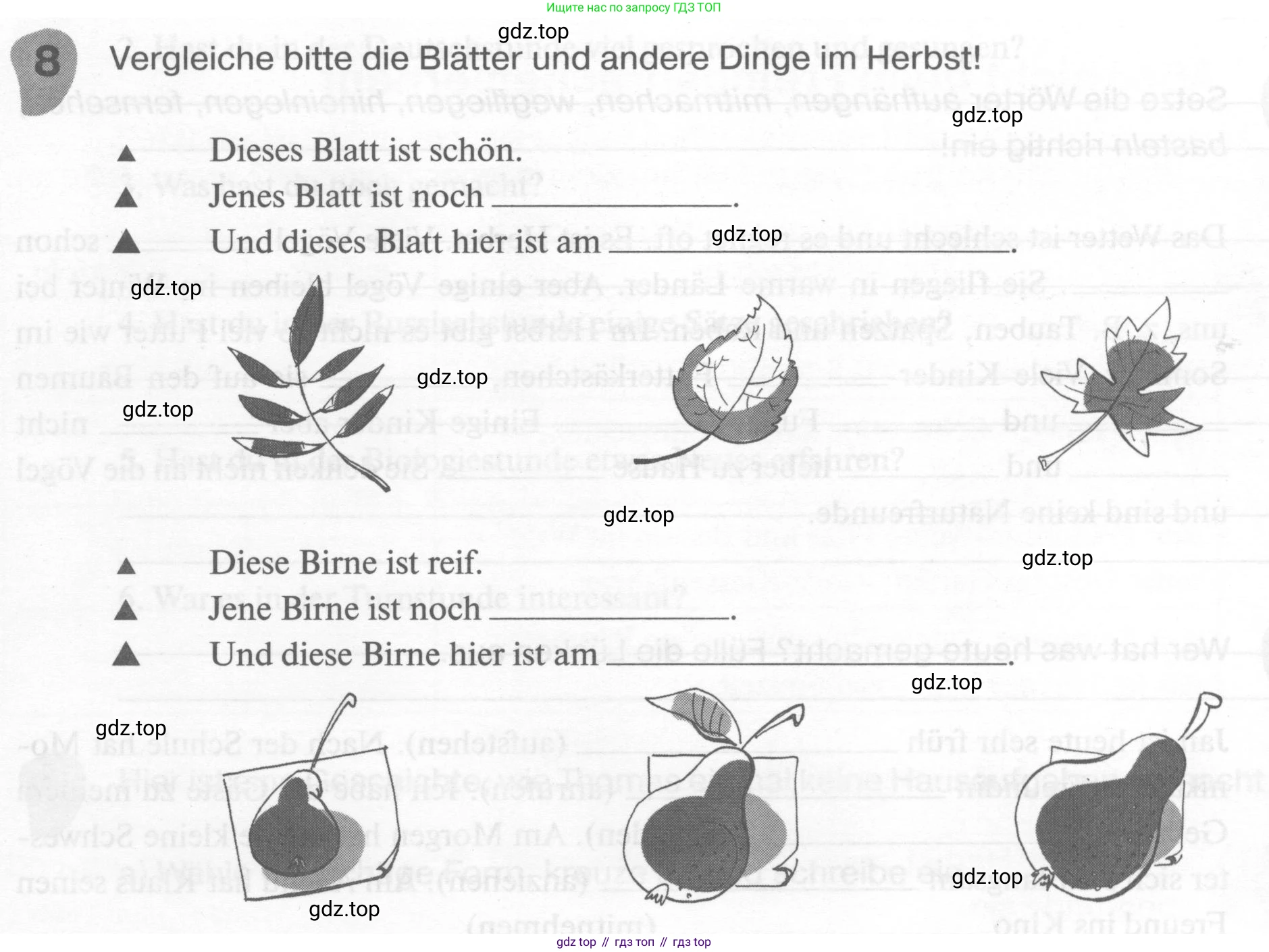 ГДЗ Немецкий язык (Deutsch), 6 класс рабочая тетрадь (arbeitsbuch), авторы: Бим Инесса Львовна (Bim I), Фомичева Людмила Михайловна (Fomitschjowa L), издательство Просвещение, Москва, 2023, салатового цвета, страница 42, номер 8, Условие
