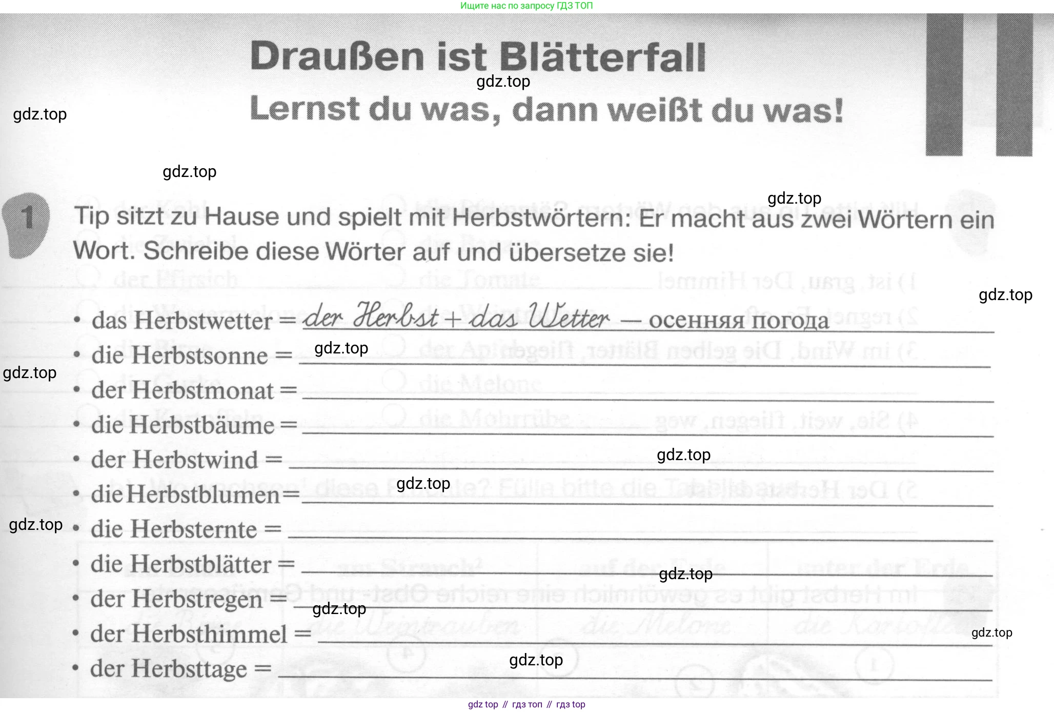 ГДЗ Немецкий язык (Deutsch), 6 класс рабочая тетрадь (arbeitsbuch), авторы: Бим Инесса Львовна (Bim I), Фомичева Людмила Михайловна (Fomitschjowa L), издательство Просвещение, Москва, 2023, салатового цвета, страница 31, номер 1, Условие