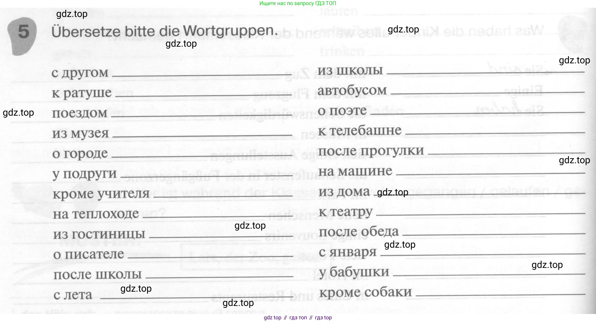 ГДЗ Немецкий язык (Deutsch), 6 класс рабочая тетрадь (arbeitsbuch), авторы: Бим Инесса Львовна (Bim I), Фомичева Людмила Михайловна (Fomitschjowa L), издательство Просвещение, Москва, 2023, салатового цвета, страница 116, номер 5, Условие