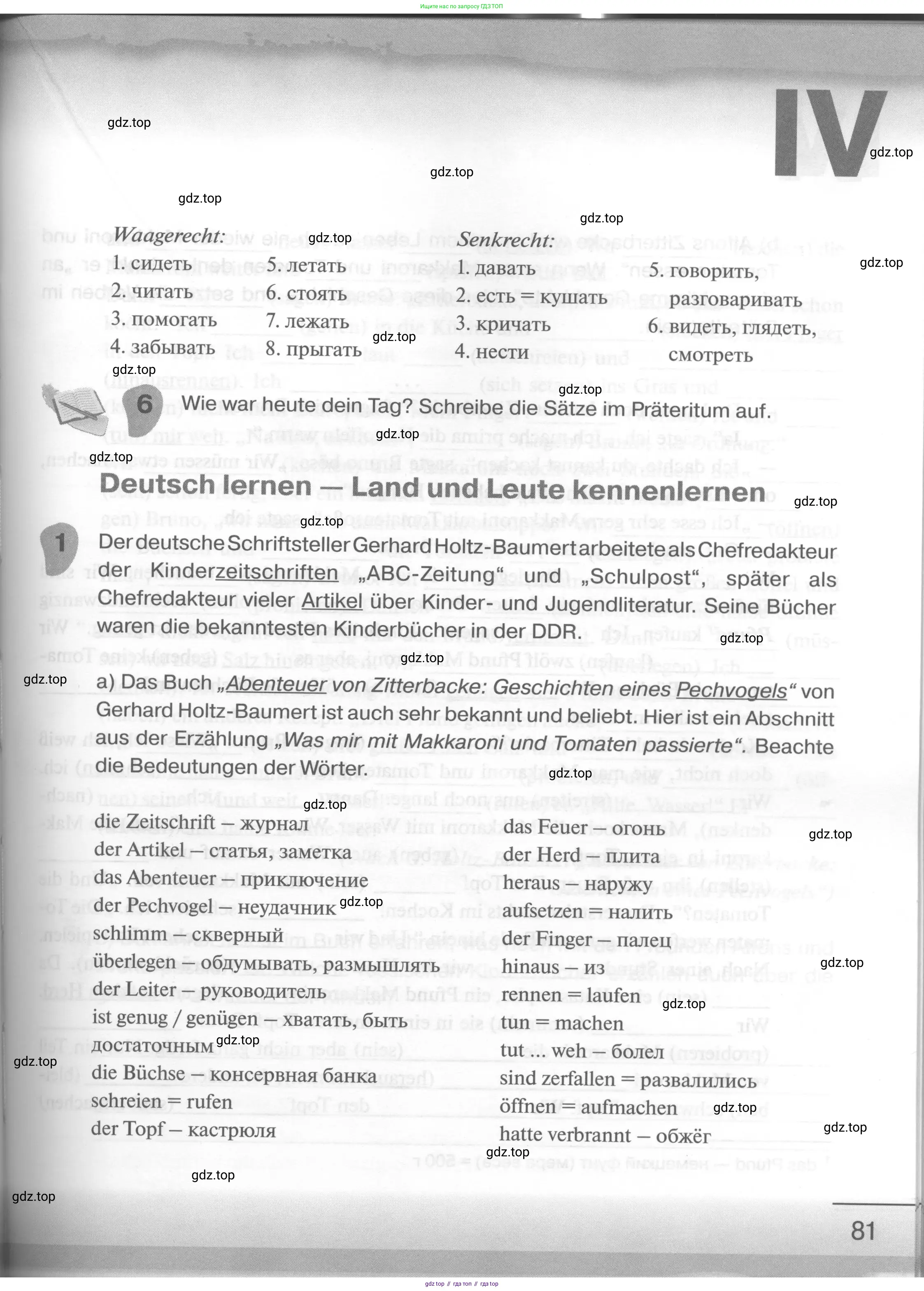 Немецкий язык (Deutsch), 6 класс рабочая тетрадь (arbeitsbuch), авторы: Бим Инесса Львовна (Bim I), Фомичева Людмила Михайловна (Fomitschjowa L), издательство Просвещение, Москва, 2023, салатового цвета, страница 81