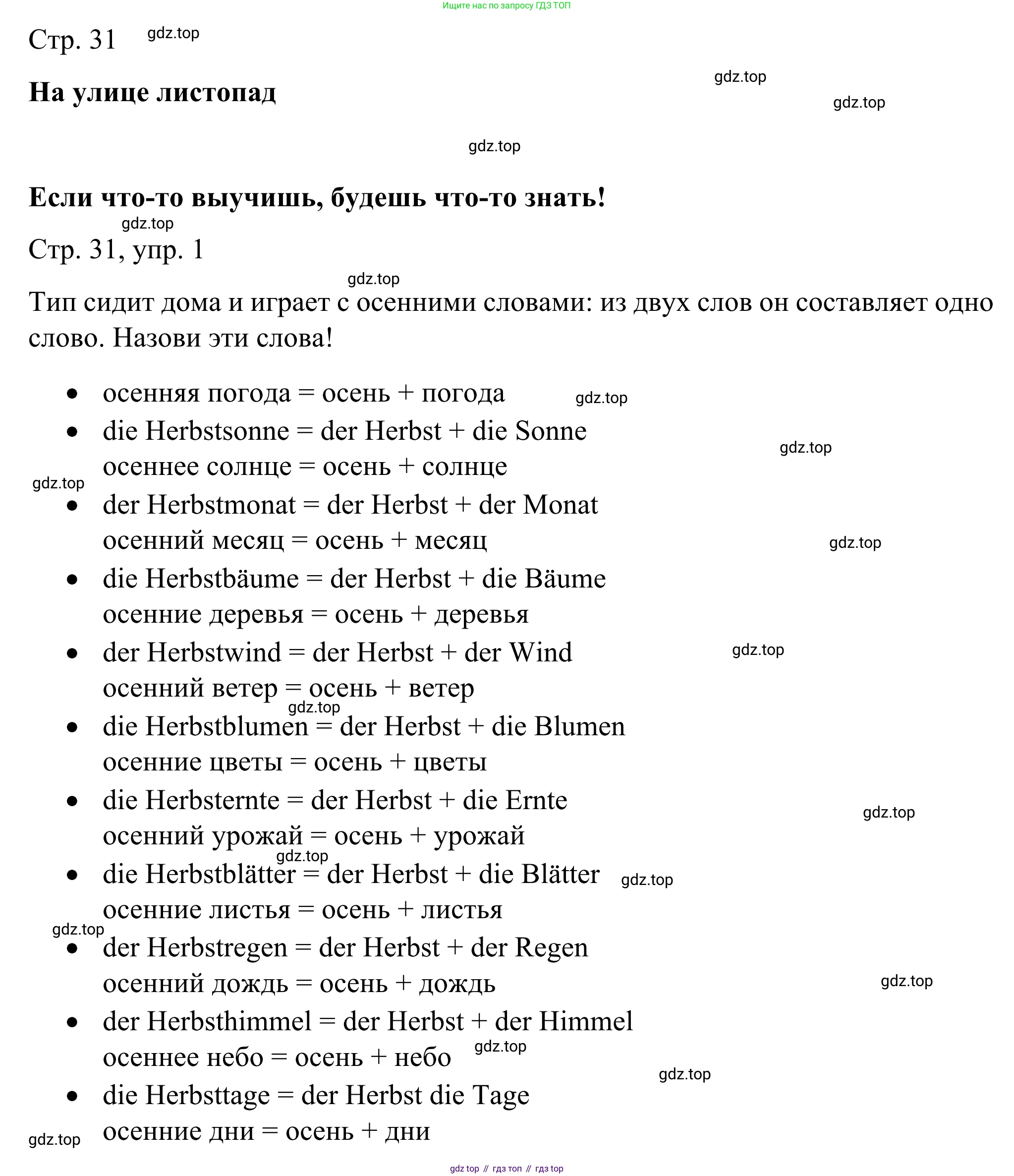 ГДЗ Немецкий язык (Deutsch), 6 класс рабочая тетрадь (arbeitsbuch), авторы: Бим Инесса Львовна (Bim I), Фомичева Людмила Михайловна (Fomitschjowa L), издательство Просвещение, Москва, 2023, салатового цвета, страница 31, номер 1, Решение