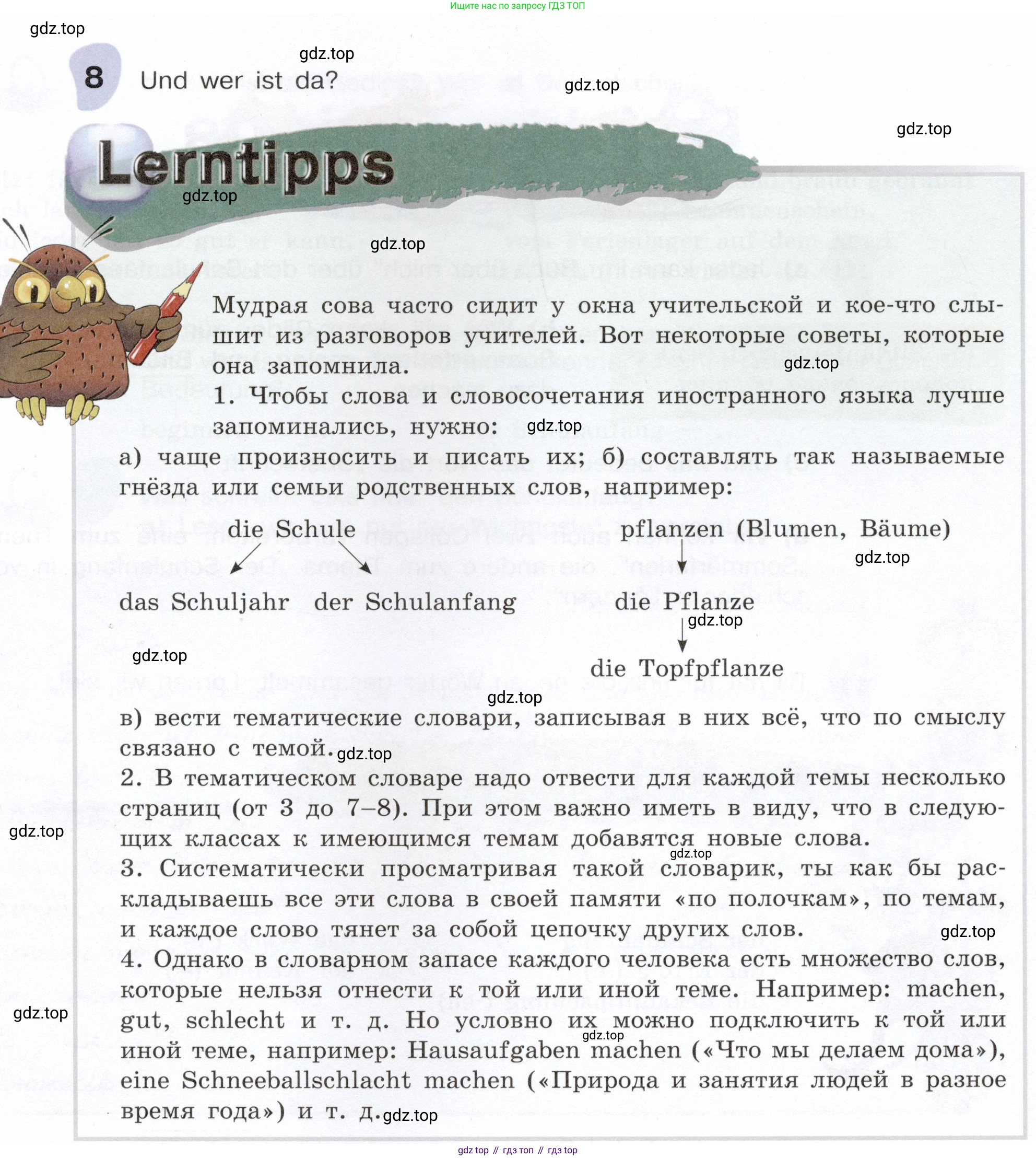 Немецкий язык (Deutsch), 6 класс учебник (lehrbuch), авторы: Бим Инесса Львовна (Bim I), Садомова Людмила Васильевна (Sadomova L), Санникова Лидия Михайловна (Sannikova L), издательство Просвещение, Москва, 2023, салатового цвета, Часть 1, страница 23, номер 8, Условие