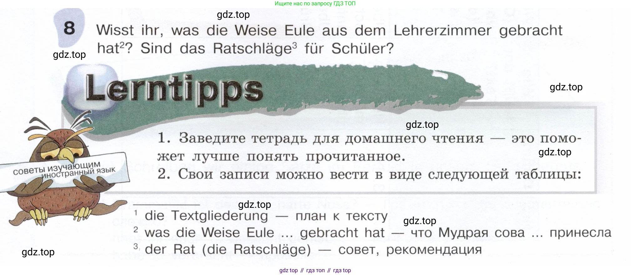 Немецкий язык (Deutsch), 6 класс учебник (lehrbuch), авторы: Бим Инесса Львовна (Bim I), Садомова Людмила Васильевна (Sadomova L), Санникова Лидия Михайловна (Sannikova L), издательство Просвещение, Москва, 2023, салатового цвета, Часть 1, страница 31, номер 8, Условие