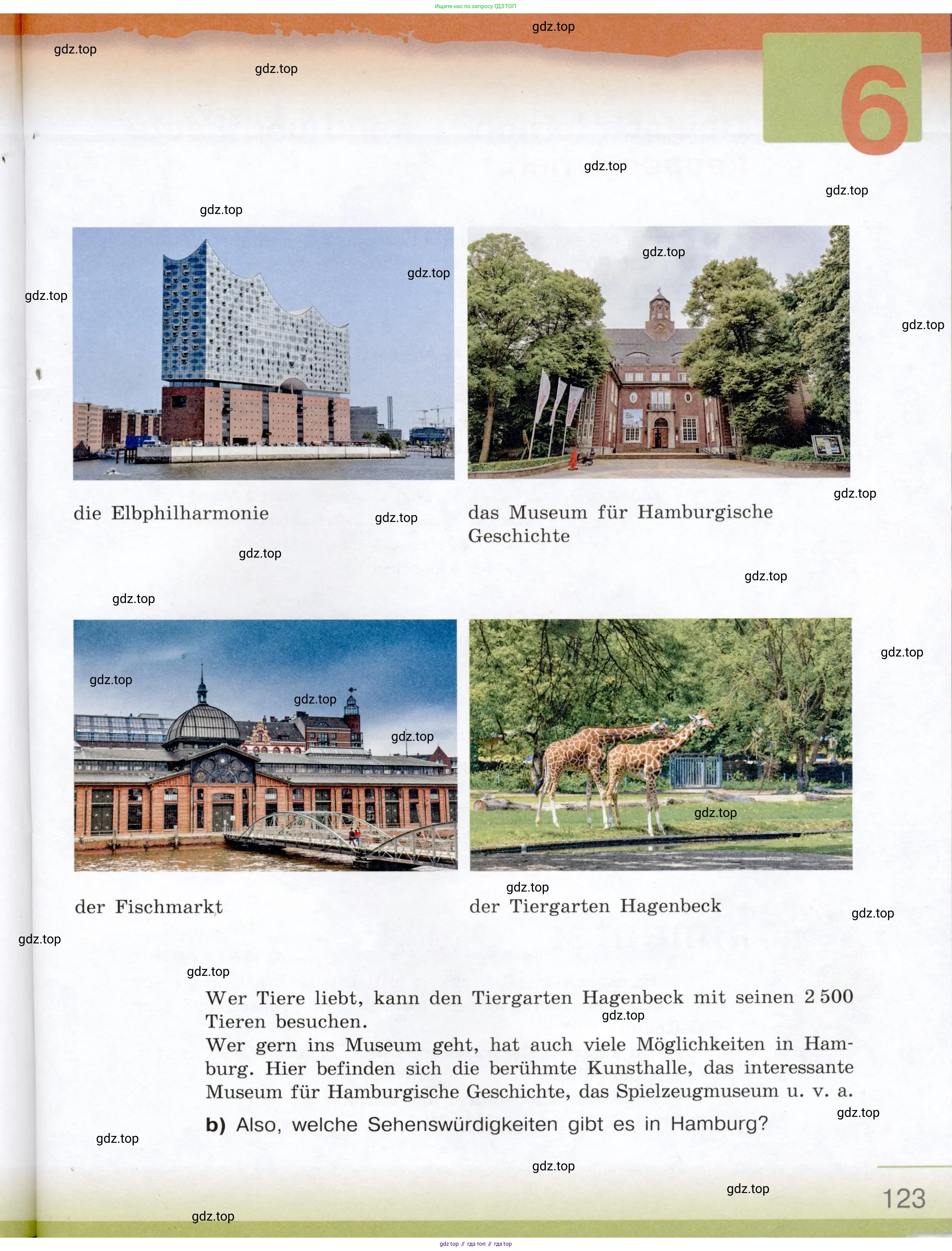Немецкий язык (Deutsch), 6 класс учебник (lehrbuch), авторы: Бим Инесса Львовна (Bim I), Садомова Людмила Васильевна (Sadomova L), Санникова Лидия Михайловна (Sannikova L), издательство Просвещение, Москва, 2023, салатового цвета, страница 123