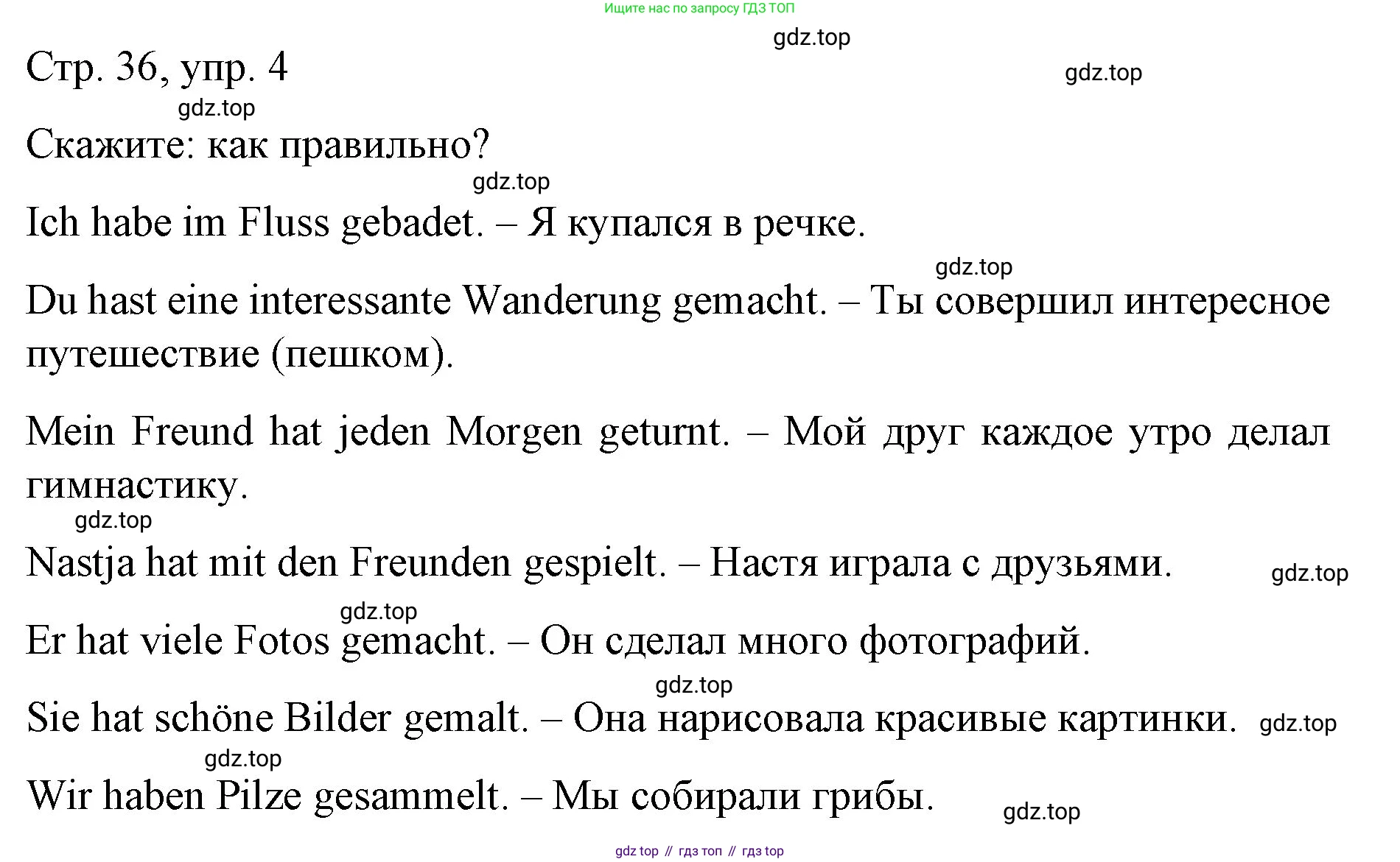 Немецкий язык (Deutsch), 6 класс учебник (lehrbuch), авторы: Бим Инесса Львовна (Bim I), Садомова Людмила Васильевна (Sadomova L), Санникова Лидия Михайловна (Sannikova L), издательство Просвещение, Москва, 2023, салатового цвета, Часть 1, страница 36, номер 4, Решение