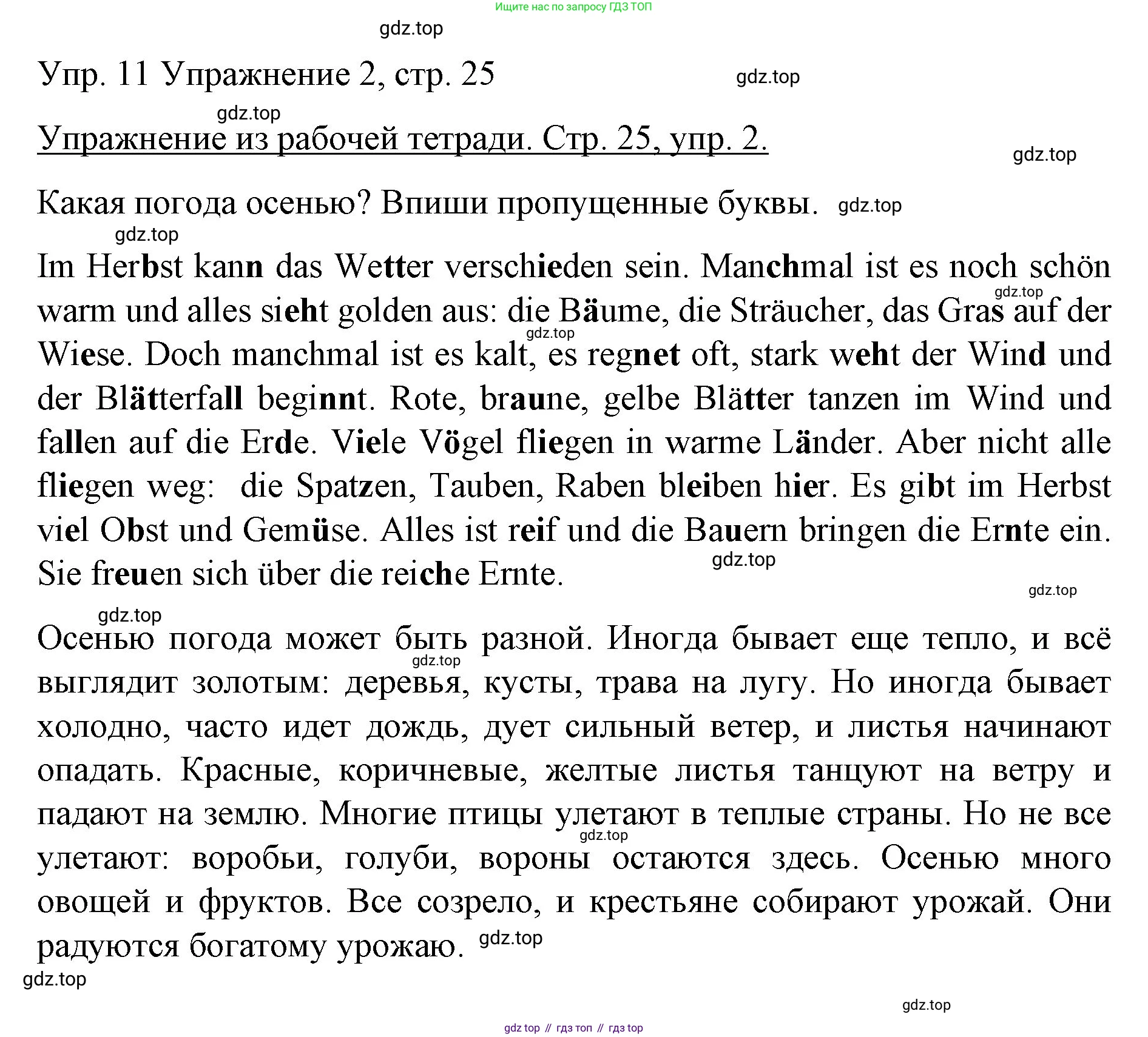 Немецкий язык (Deutsch), 6 класс учебник (lehrbuch), авторы: Бим Инесса Львовна (Bim I), Садомова Людмила Васильевна (Sadomova L), Санникова Лидия Михайловна (Sannikova L), издательство Просвещение, Москва, 2023, салатового цвета, Часть 1, страница 60, номер 11, Решение