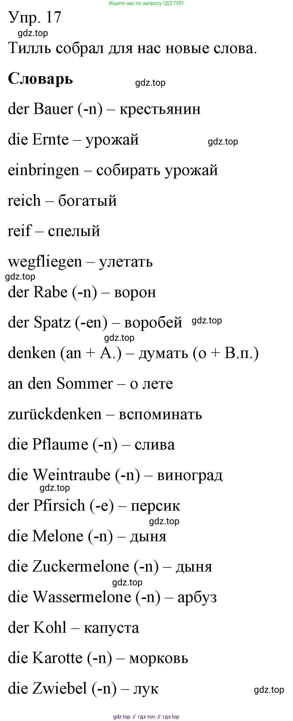 Немецкий язык (Deutsch), 6 класс учебник (lehrbuch), авторы: Бим Инесса Львовна (Bim I), Садомова Людмила Васильевна (Sadomova L), Санникова Лидия Михайловна (Sannikova L), издательство Просвещение, Москва, 2023, салатового цвета, Часть 1, страница 62, номер 17, Решение