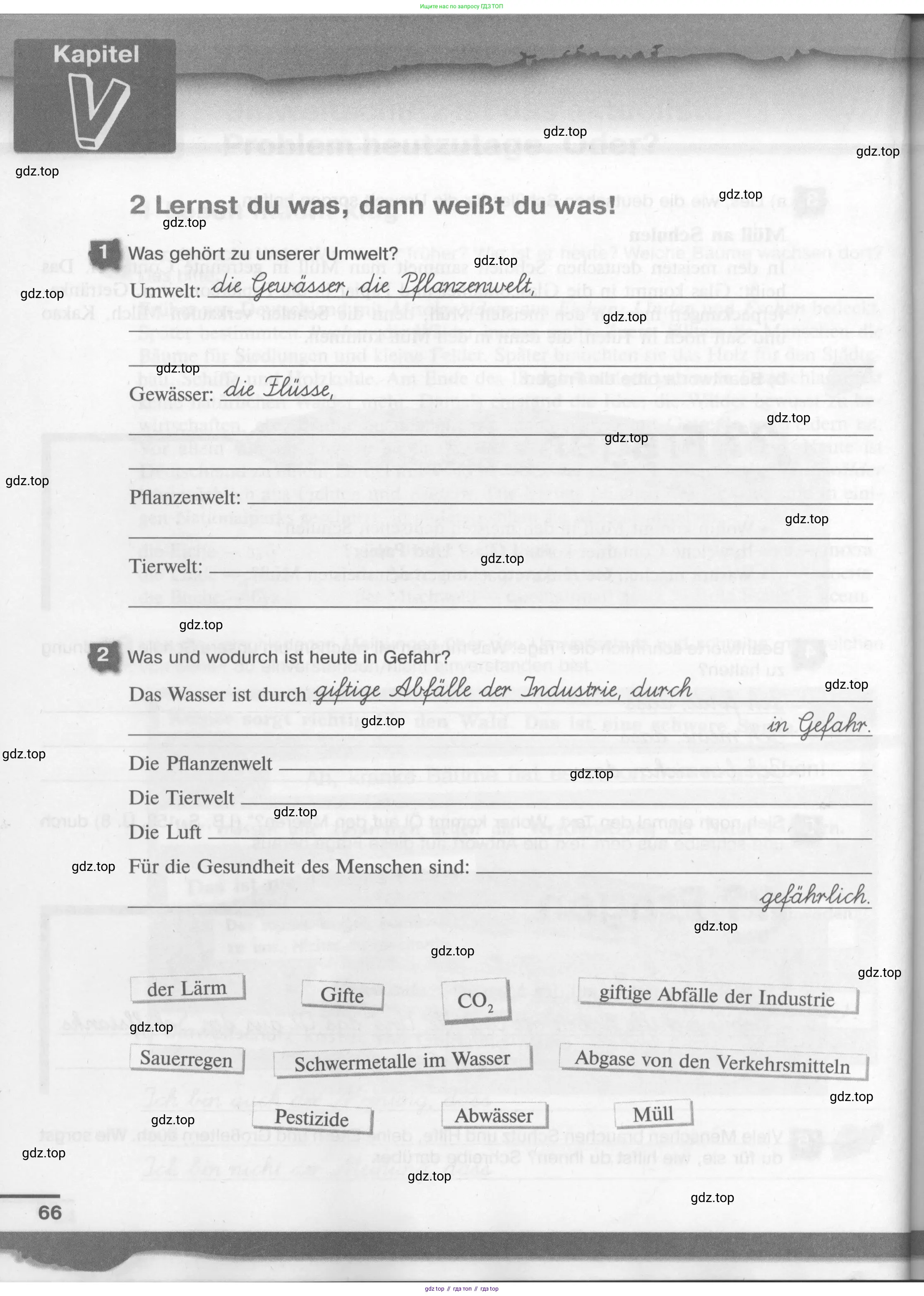 Немецкий язык (Deutsch), 7 класс рабочая тетрадь (arbeitsbuch), авторы: Бим Инесса Львовна (Bim I), Садомова Людмила Васильевна (Sadomova L), Фомичева Людмила Михайловна (Fomitschjowa L), Крылова Жанета Яковлевна (Krylowa Schaneta), издательство Просвещение, Москва, 2023, оранжевого цвета, страница 66