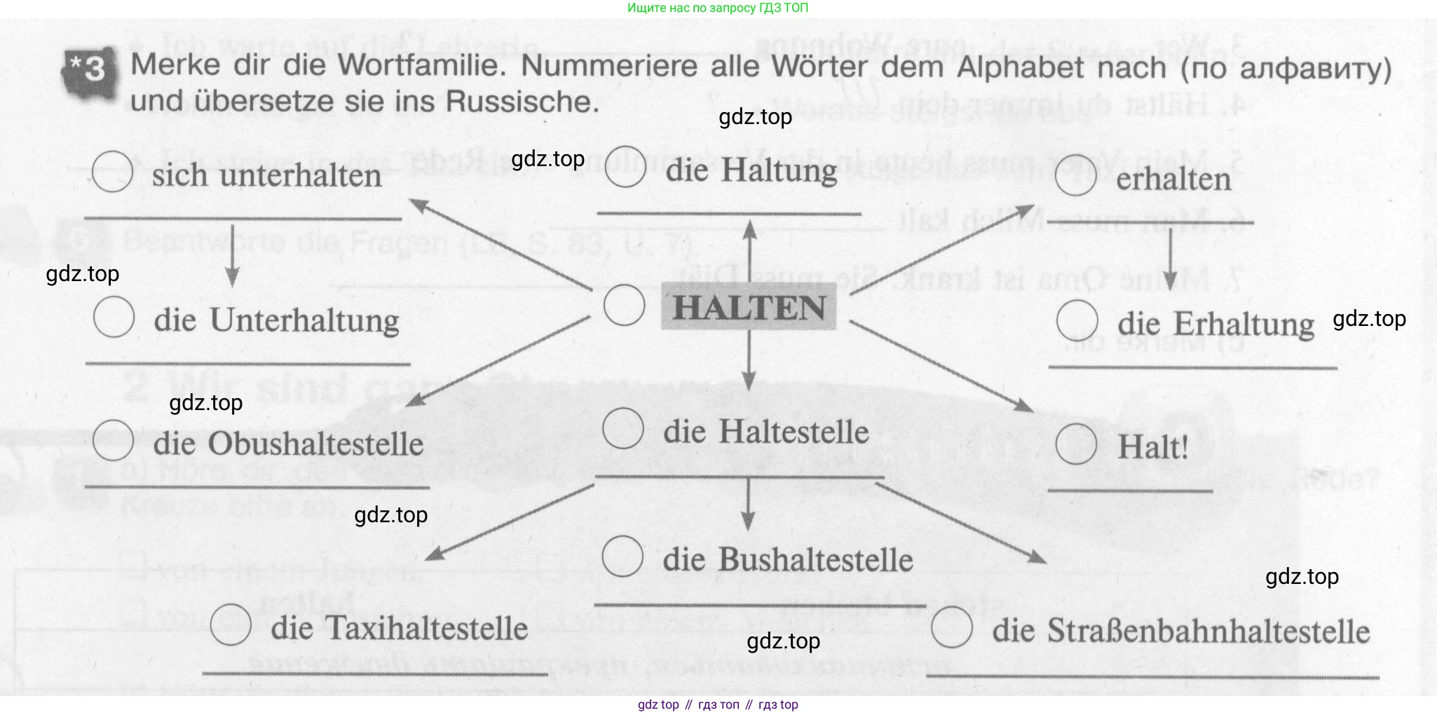 Немецкий язык (Deutsch), 7 класс рабочая тетрадь (arbeitsbuch), авторы: Бим Инесса Львовна (Bim I), Садомова Людмила Васильевна (Sadomova L), Фомичева Людмила Михайловна (Fomitschjowa L), Крылова Жанета Яковлевна (Krylowa Schaneta), издательство Просвещение, Москва, 2023, оранжевого цвета, страница 39, номер 3, Условие