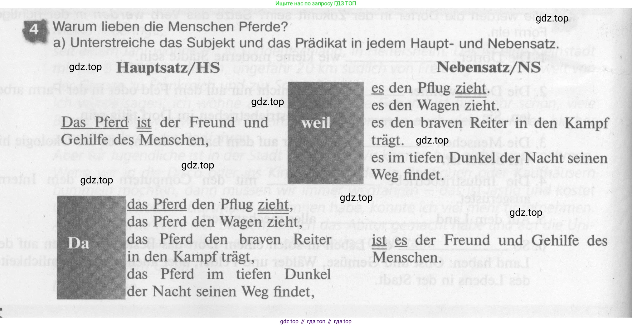 Немецкий язык (Deutsch), 7 класс рабочая тетрадь (arbeitsbuch), авторы: Бим Инесса Львовна (Bim I), Садомова Людмила Васильевна (Sadomova L), Фомичева Людмила Михайловна (Fomitschjowa L), Крылова Жанета Яковлевна (Krylowa Schaneta), издательство Просвещение, Москва, 2023, оранжевого цвета, страница 56, номер 4, Условие