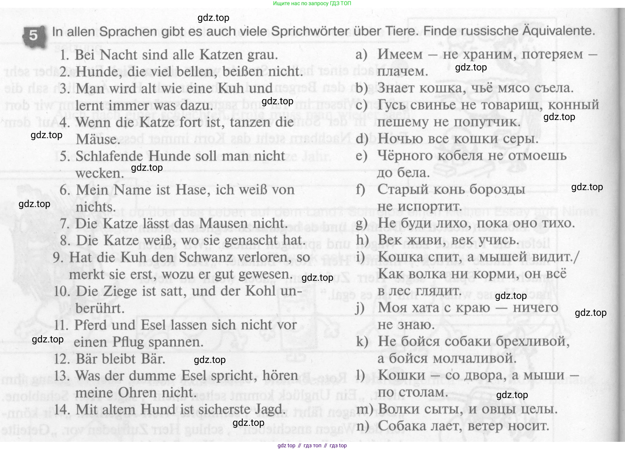 Немецкий язык (Deutsch), 7 класс рабочая тетрадь (arbeitsbuch), авторы: Бим Инесса Львовна (Bim I), Садомова Людмила Васильевна (Sadomova L), Фомичева Людмила Михайловна (Fomitschjowa L), Крылова Жанета Яковлевна (Krylowa Schaneta), издательство Просвещение, Москва, 2023, оранжевого цвета, страница 60, номер 5, Условие