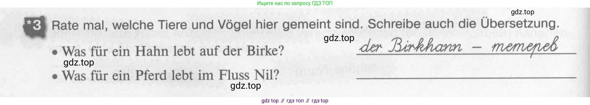 Немецкий язык (Deutsch), 7 класс рабочая тетрадь (arbeitsbuch), авторы: Бим Инесса Львовна (Bim I), Садомова Людмила Васильевна (Sadomova L), Фомичева Людмила Михайловна (Fomitschjowa L), Крылова Жанета Яковлевна (Krylowa Schaneta), издательство Просвещение, Москва, 2023, оранжевого цвета, страница 62, номер 3, Условие
