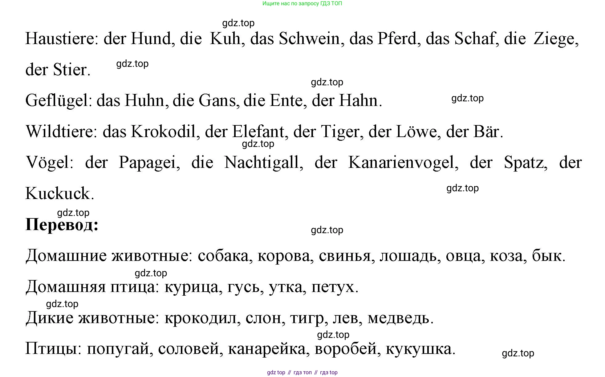 Немецкий язык (Deutsch), 7 класс рабочая тетрадь (arbeitsbuch), авторы: Бим Инесса Львовна (Bim I), Садомова Людмила Васильевна (Sadomova L), Фомичева Людмила Михайловна (Fomitschjowa L), Крылова Жанета Яковлевна (Krylowa Schaneta), издательство Просвещение, Москва, 2023, оранжевого цвета, страница 52, номер 2, Решение (продолжение 2)