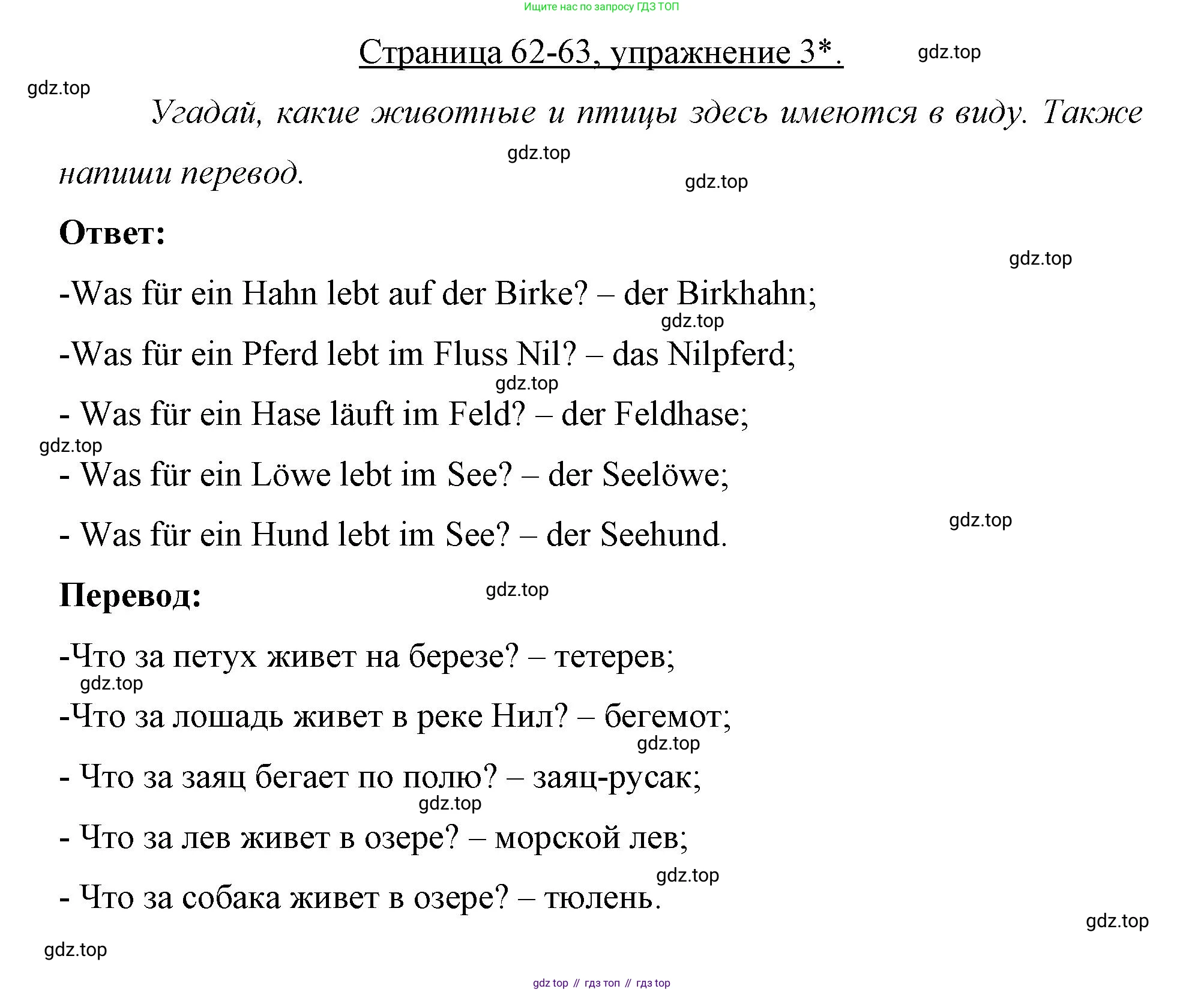 Немецкий язык (Deutsch), 7 класс рабочая тетрадь (arbeitsbuch), авторы: Бим Инесса Львовна (Bim I), Садомова Людмила Васильевна (Sadomova L), Фомичева Людмила Михайловна (Fomitschjowa L), Крылова Жанета Яковлевна (Krylowa Schaneta), издательство Просвещение, Москва, 2023, оранжевого цвета, страница 62, номер 3, Решение