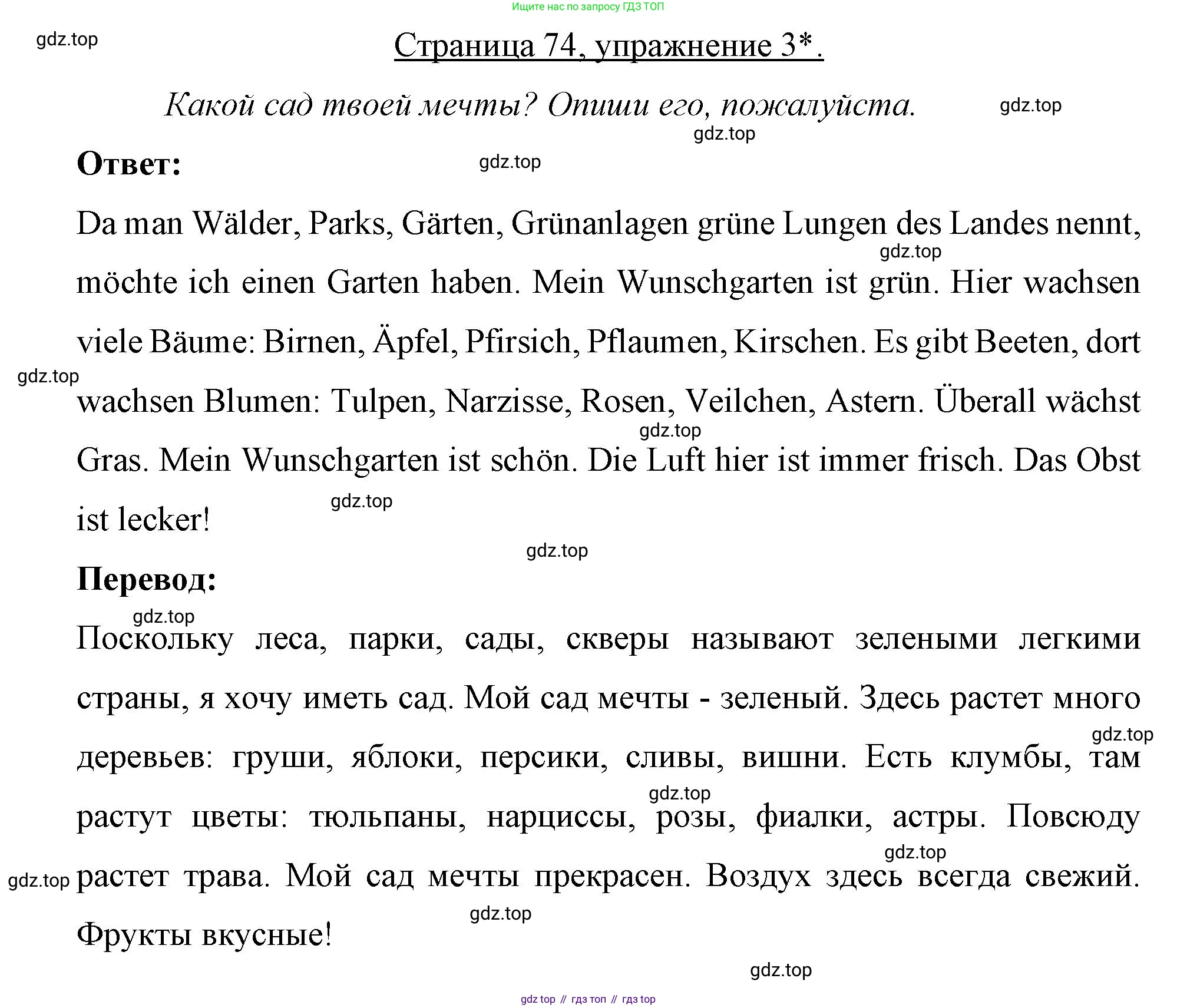 Немецкий язык (Deutsch), 7 класс рабочая тетрадь (arbeitsbuch), авторы: Бим Инесса Львовна (Bim I), Садомова Людмила Васильевна (Sadomova L), Фомичева Людмила Михайловна (Fomitschjowa L), Крылова Жанета Яковлевна (Krylowa Schaneta), издательство Просвещение, Москва, 2023, оранжевого цвета, страница 74, номер 3, Решение