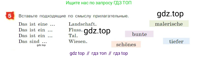 ГДЗ Немецкий язык (Deutsch), 7 класс учебник (lehrbuch), авторы: Бим Инесса Львовна (Bim I), Садомова Людмила Васильевна (Sadomova L), издательство Просвещение, Москва, 2023, оранжевого цвета, страница 39, номер 5, Условие