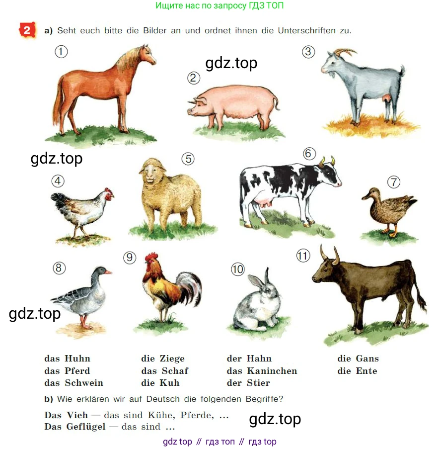ГДЗ Немецкий язык (Deutsch), 7 класс учебник (lehrbuch), авторы: Бим Инесса Львовна (Bim I), Садомова Людмила Васильевна (Sadomova L), издательство Просвещение, Москва, 2023, оранжевого цвета, страница 111, номер 2, Условие