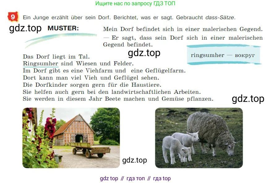 ГДЗ Немецкий язык (Deutsch), 7 класс учебник (lehrbuch), авторы: Бим Инесса Львовна (Bim I), Садомова Людмила Васильевна (Sadomova L), издательство Просвещение, Москва, 2023, оранжевого цвета, страница 124, номер 9, Условие