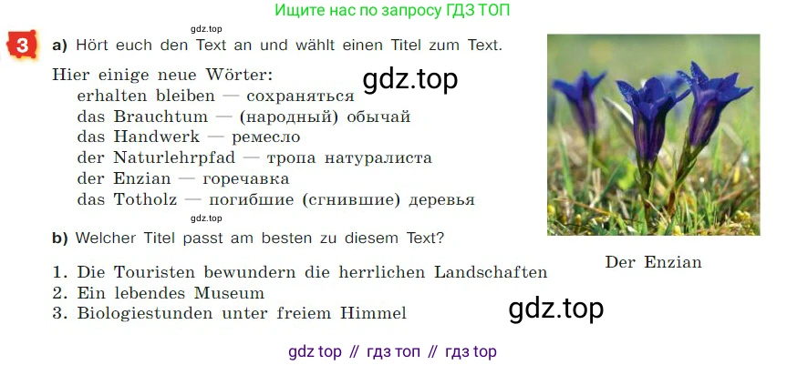 ГДЗ Немецкий язык (Deutsch), 7 класс учебник (lehrbuch), авторы: Бим Инесса Львовна (Bim I), Садомова Людмила Васильевна (Sadomova L), издательство Просвещение, Москва, 2023, оранжевого цвета, страница 158, номер 3, Условие