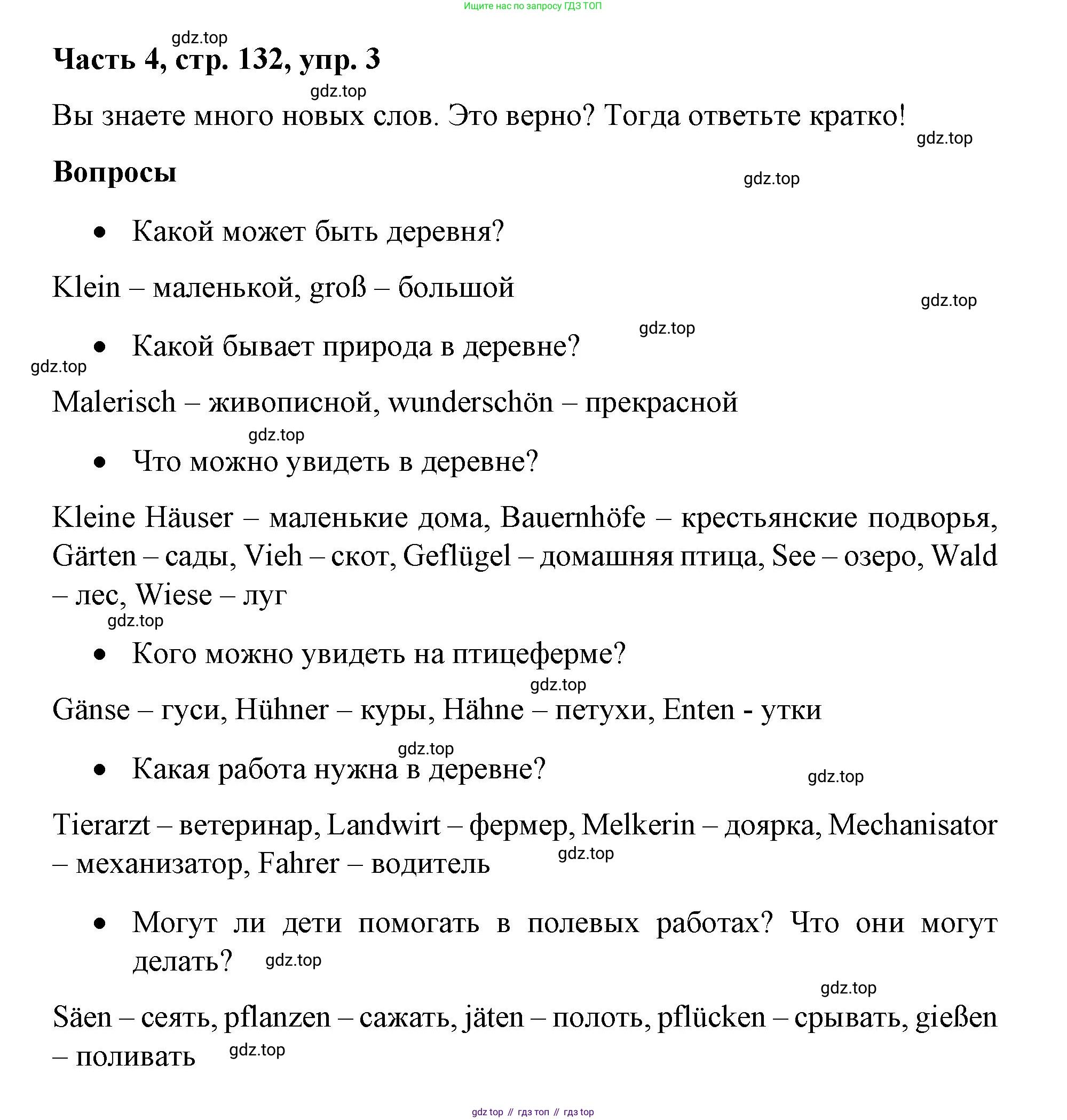 ГДЗ Немецкий язык (Deutsch), 7 класс учебник (lehrbuch), авторы: Бим Инесса Львовна (Bim I), Садомова Людмила Васильевна (Sadomova L), издательство Просвещение, Москва, 2023, оранжевого цвета, страница 132, номер 3, Решение
