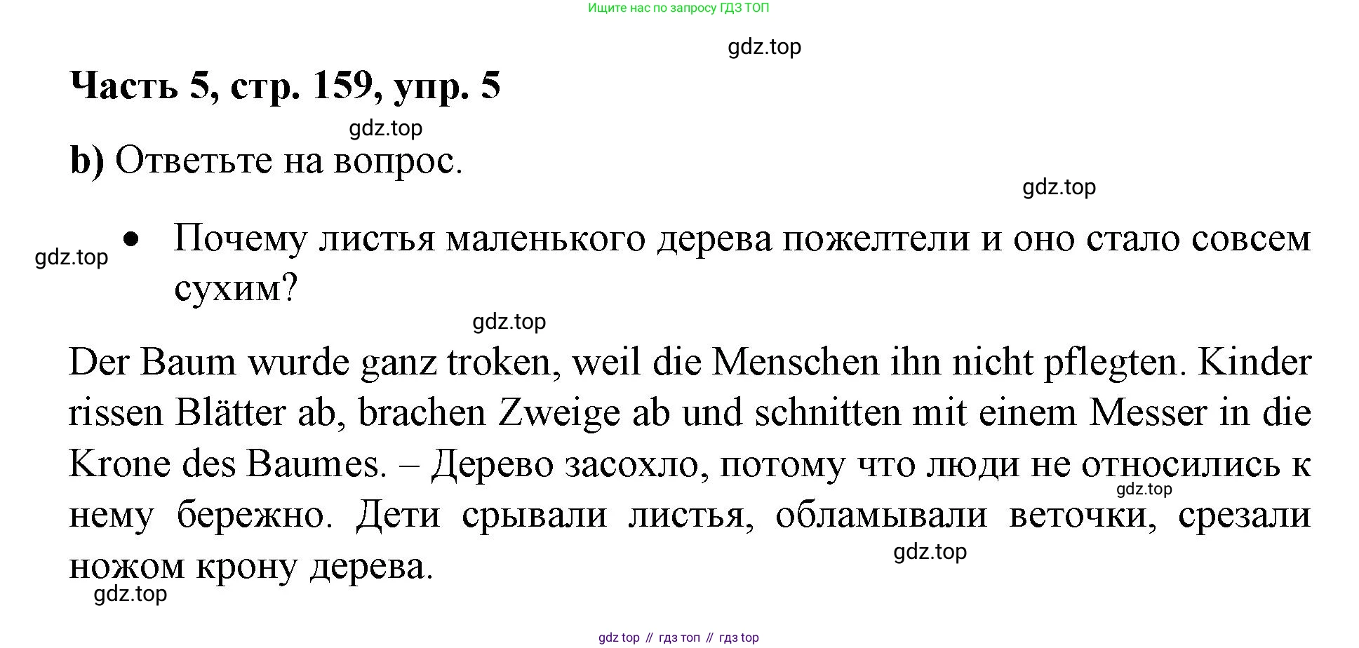 ГДЗ Немецкий язык (Deutsch), 7 класс учебник (lehrbuch), авторы: Бим Инесса Львовна (Bim I), Садомова Людмила Васильевна (Sadomova L), издательство Просвещение, Москва, 2023, оранжевого цвета, страница 159, номер 5, Решение (продолжение 3)