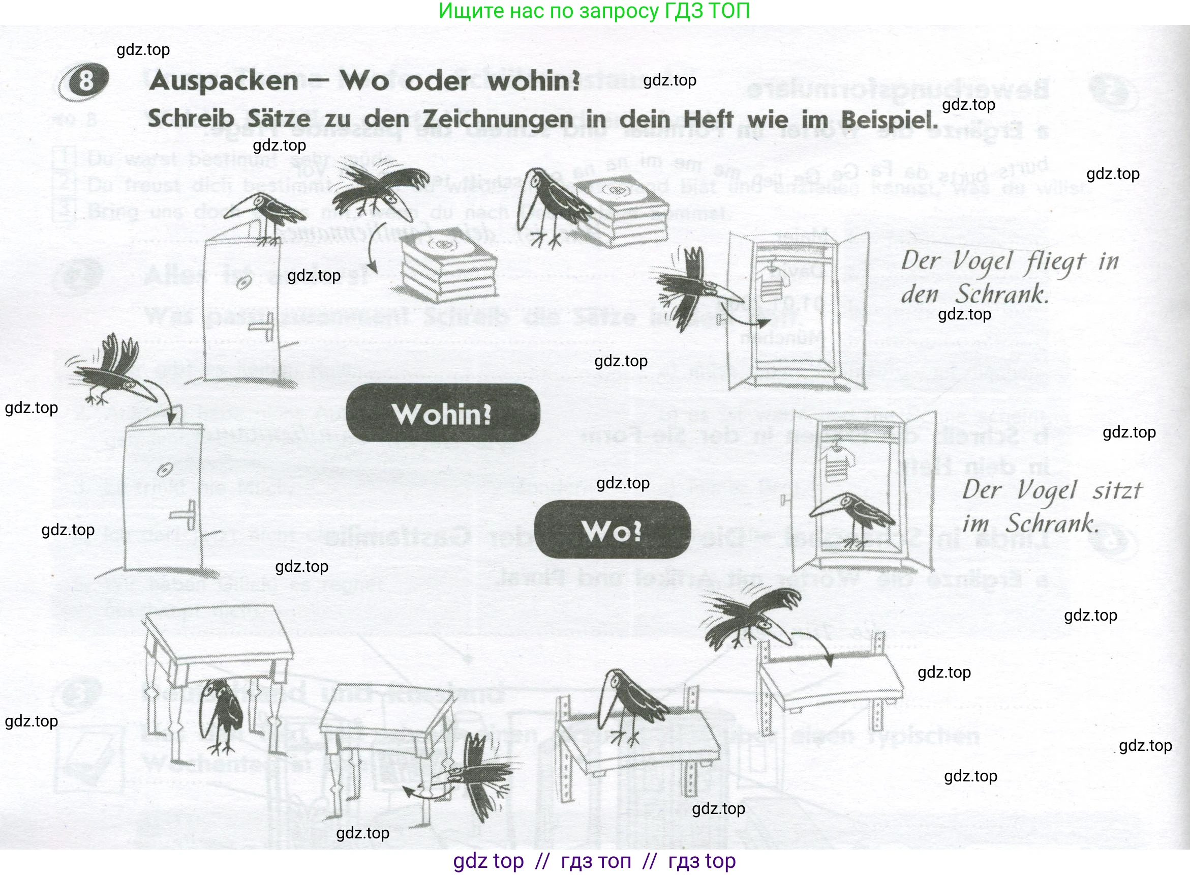 Немецкий язык (Deutsch), 8 класс рабочая тетрадь (arbeitsbuch), авторы: Аверин Михаил Михайлович (Awerin М), Джин Фридерике (Jin Friederike), Рорман Лутц (Rohrmann Lutz), Ризу Грамматики (Rizou Grammatiki), издательство Просвещение, Москва, 2024, страница 14, номер 8, Условие