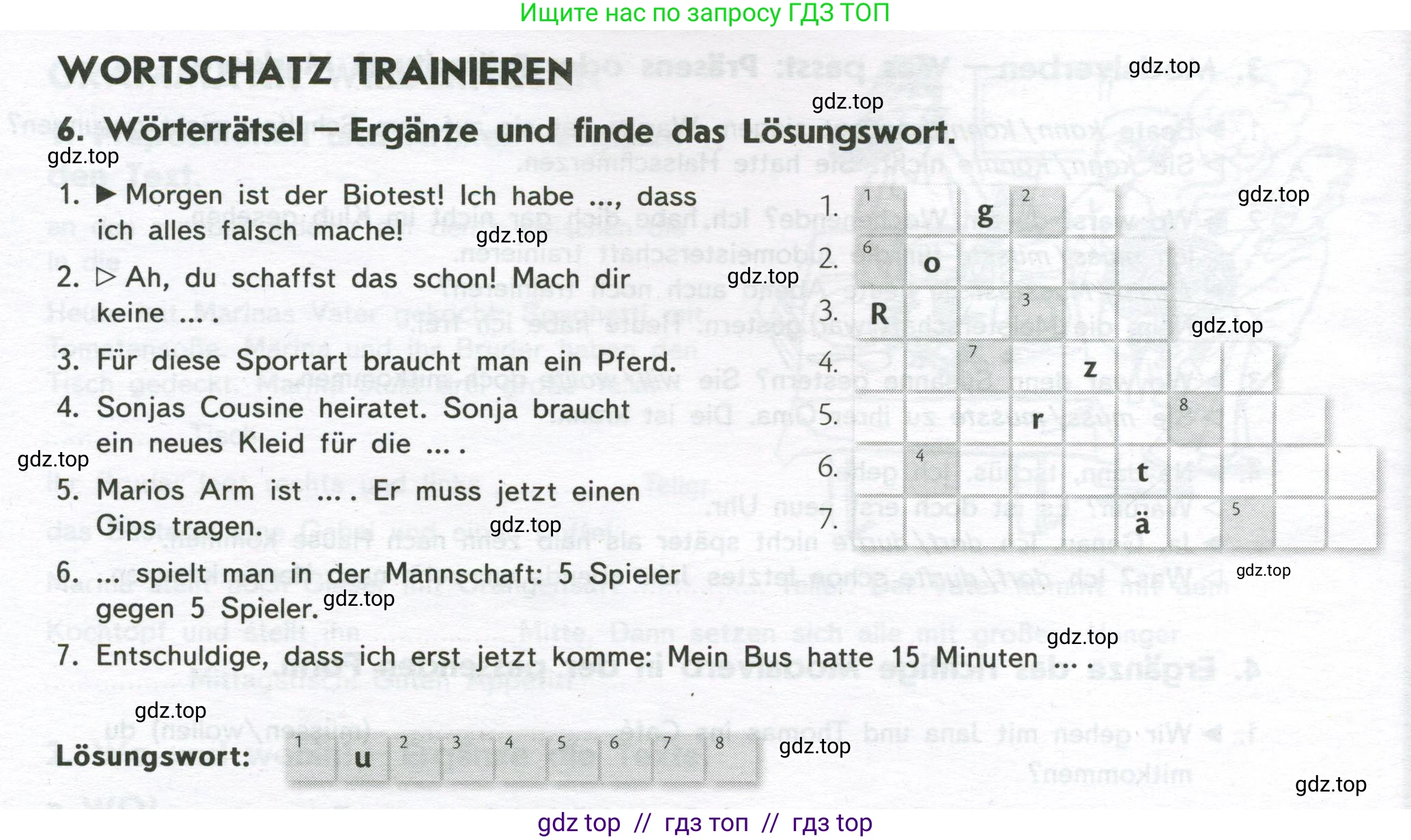 Немецкий язык (Deutsch), 8 класс рабочая тетрадь (arbeitsbuch), авторы: Аверин Михаил Михайлович (Awerin М), Джин Фридерике (Jin Friederike), Рорман Лутц (Rohrmann Lutz), Ризу Грамматики (Rizou Grammatiki), издательство Просвещение, Москва, 2024, страница 30, номер 6, Условие