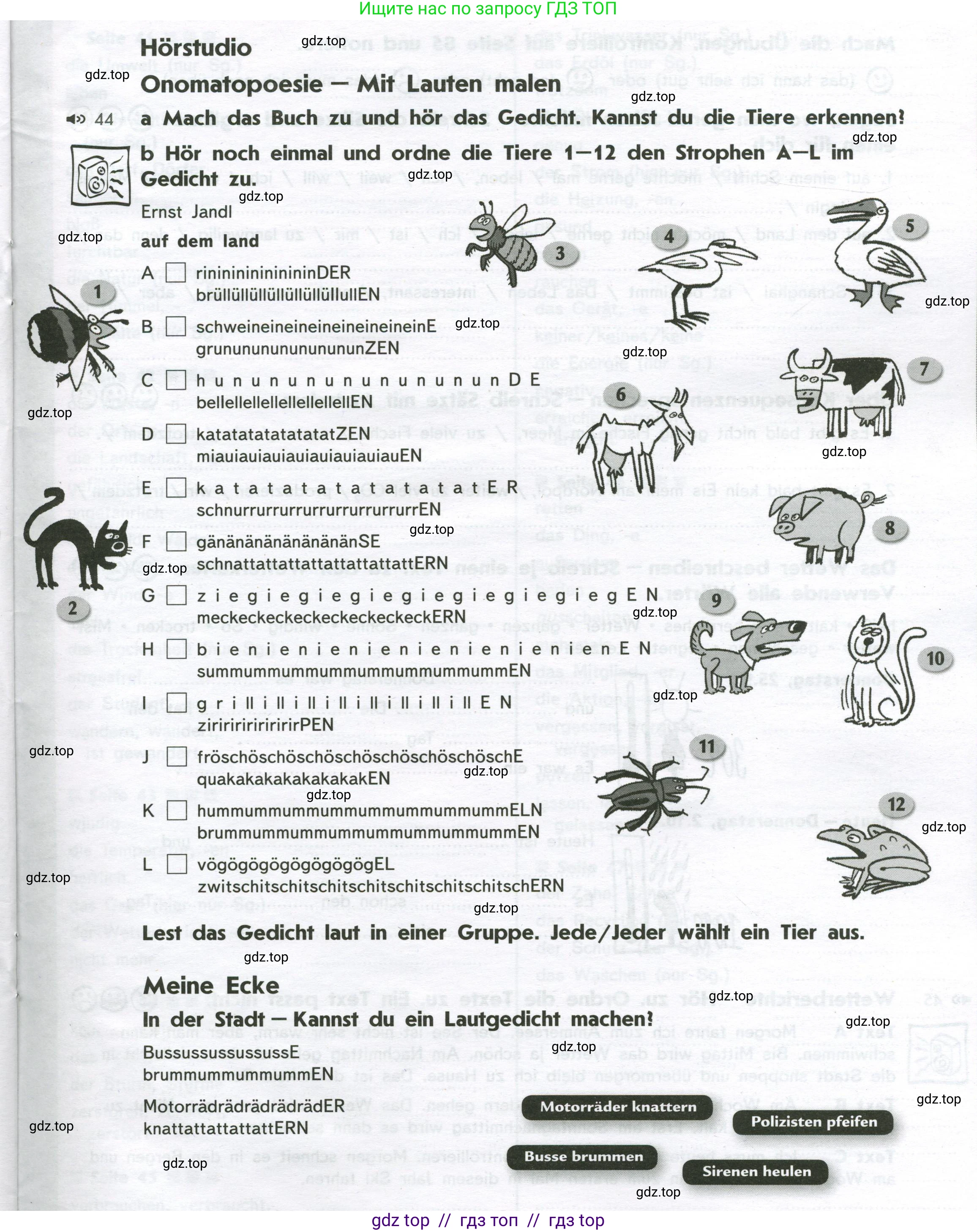 Немецкий язык (Deutsch), 8 класс рабочая тетрадь (arbeitsbuch), авторы: Аверин Михаил Михайлович (Awerin М), Джин Фридерике (Jin Friederike), Рорман Лутц (Rohrmann Lutz), Ризу Грамматики (Rizou Grammatiki), издательство Просвещение, Москва, 2024, страница 49, Условие