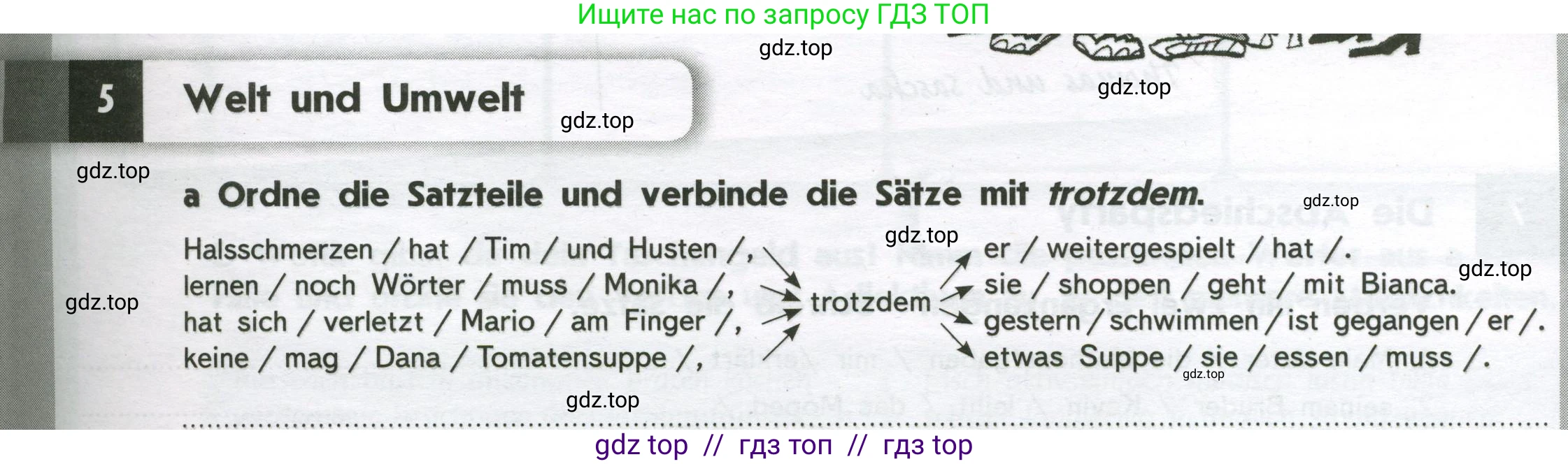 Немецкий язык (Deutsch), 8 класс рабочая тетрадь (arbeitsbuch), авторы: Аверин Михаил Михайлович (Awerin М), Джин Фридерике (Jin Friederike), Рорман Лутц (Rohrmann Lutz), Ризу Грамматики (Rizou Grammatiki), издательство Просвещение, Москва, 2024, страница 69, номер 5, Условие