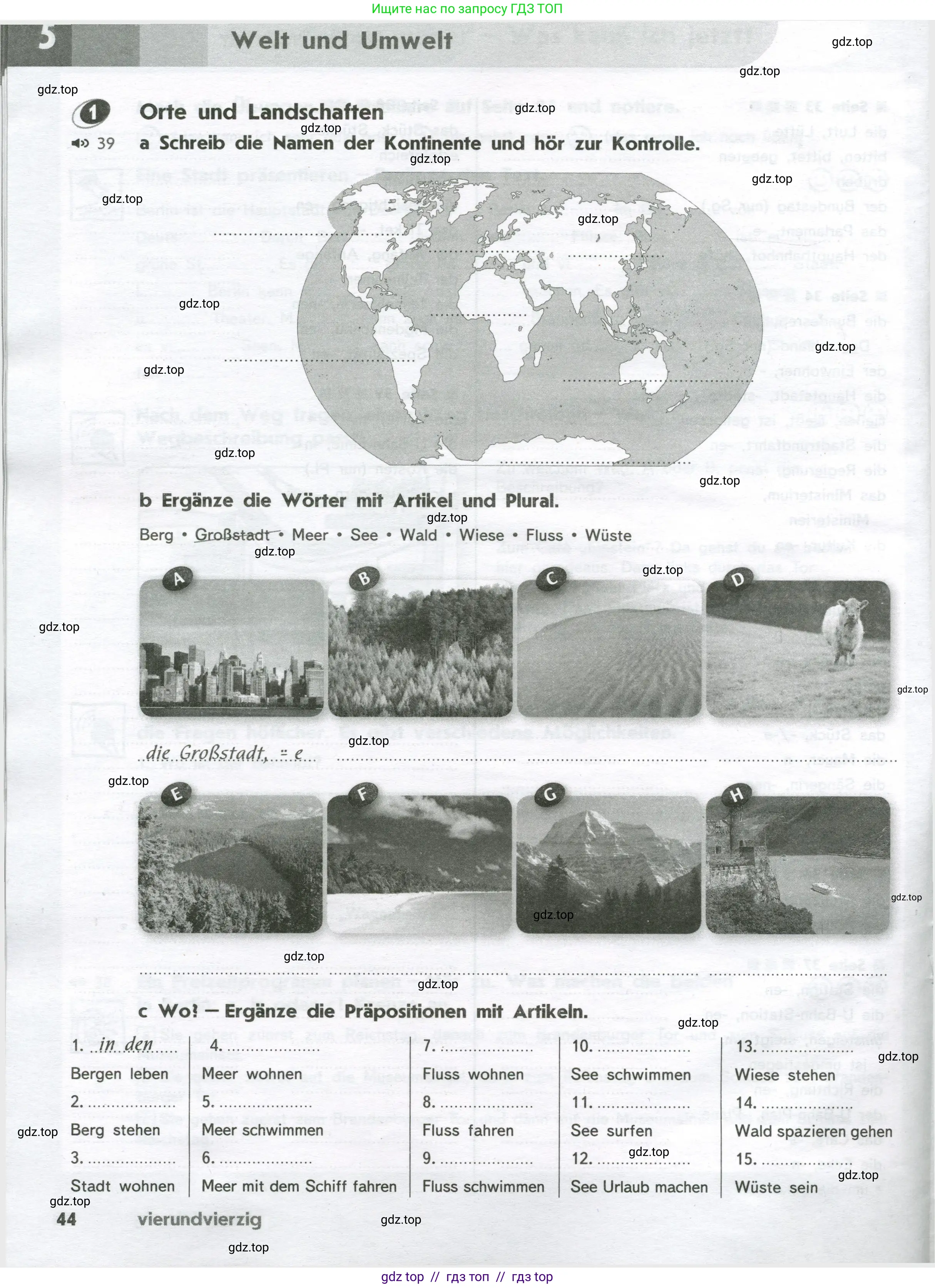 Немецкий язык (Deutsch), 8 класс рабочая тетрадь (arbeitsbuch), авторы: Аверин Михаил Михайлович (Awerin М), Джин Фридерике (Jin Friederike), Рорман Лутц (Rohrmann Lutz), Ризу Грамматики (Rizou Grammatiki), издательство Просвещение, Москва, 2024, страница 44