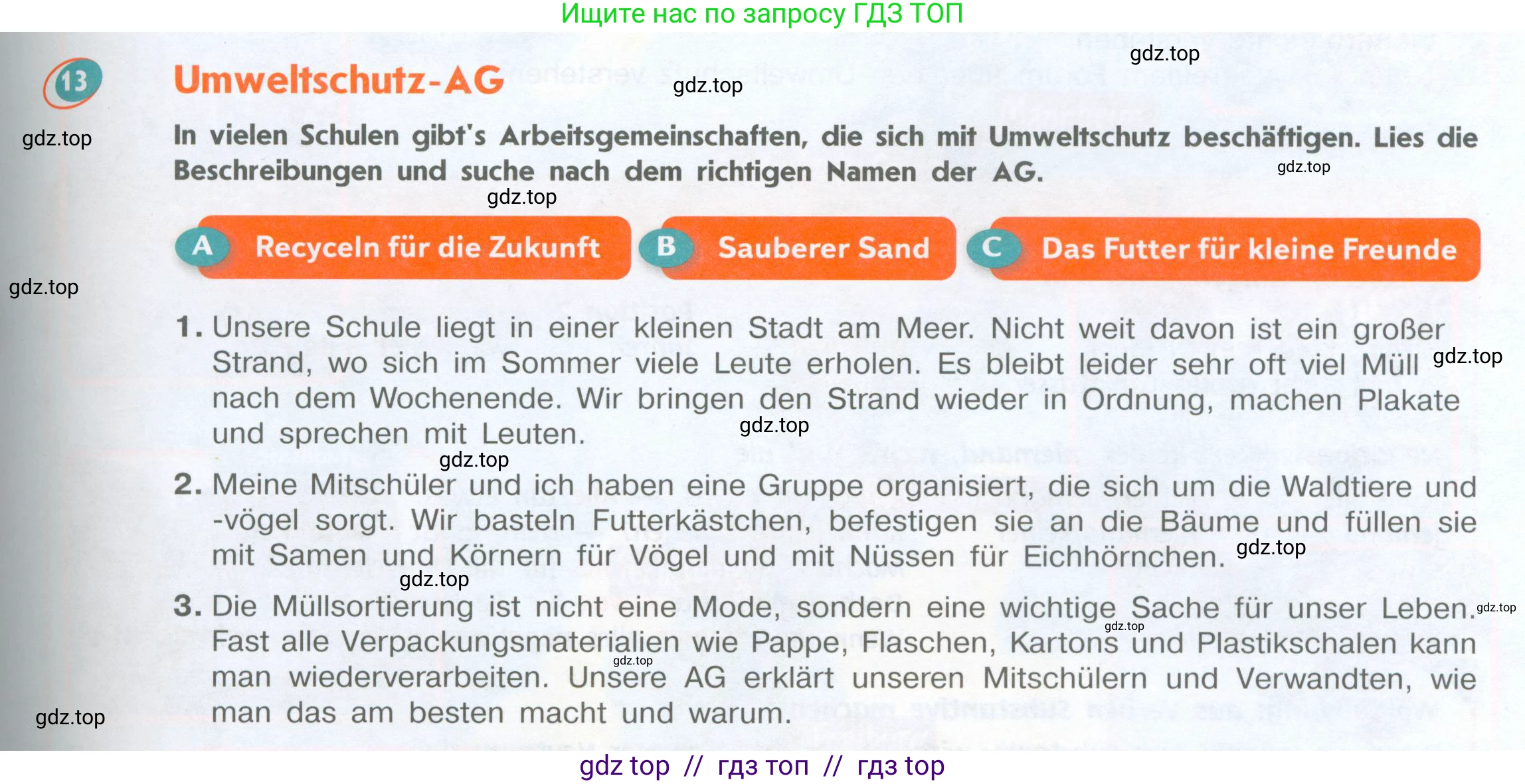 Немецкий язык (Deutsch), 8 класс учебник (lehrbuch), авторы: Аверин Михаил Михайлович (Awerin М), Джин Фридерике (Jin Friederike), Рорман Лутц (Rohrmann Lutz), Ризу Грамматики (Rizou Grammatiki), издательство Просвещение, Москва, 2023, страница 47, номер 13, Условие